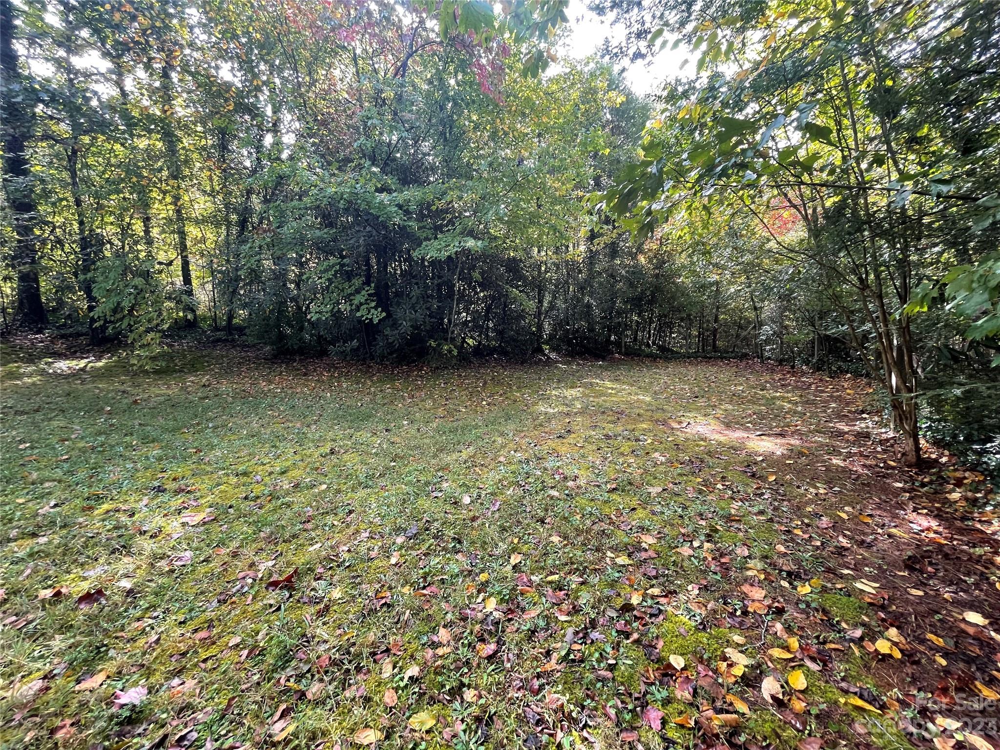 65 Red Bird Song Road