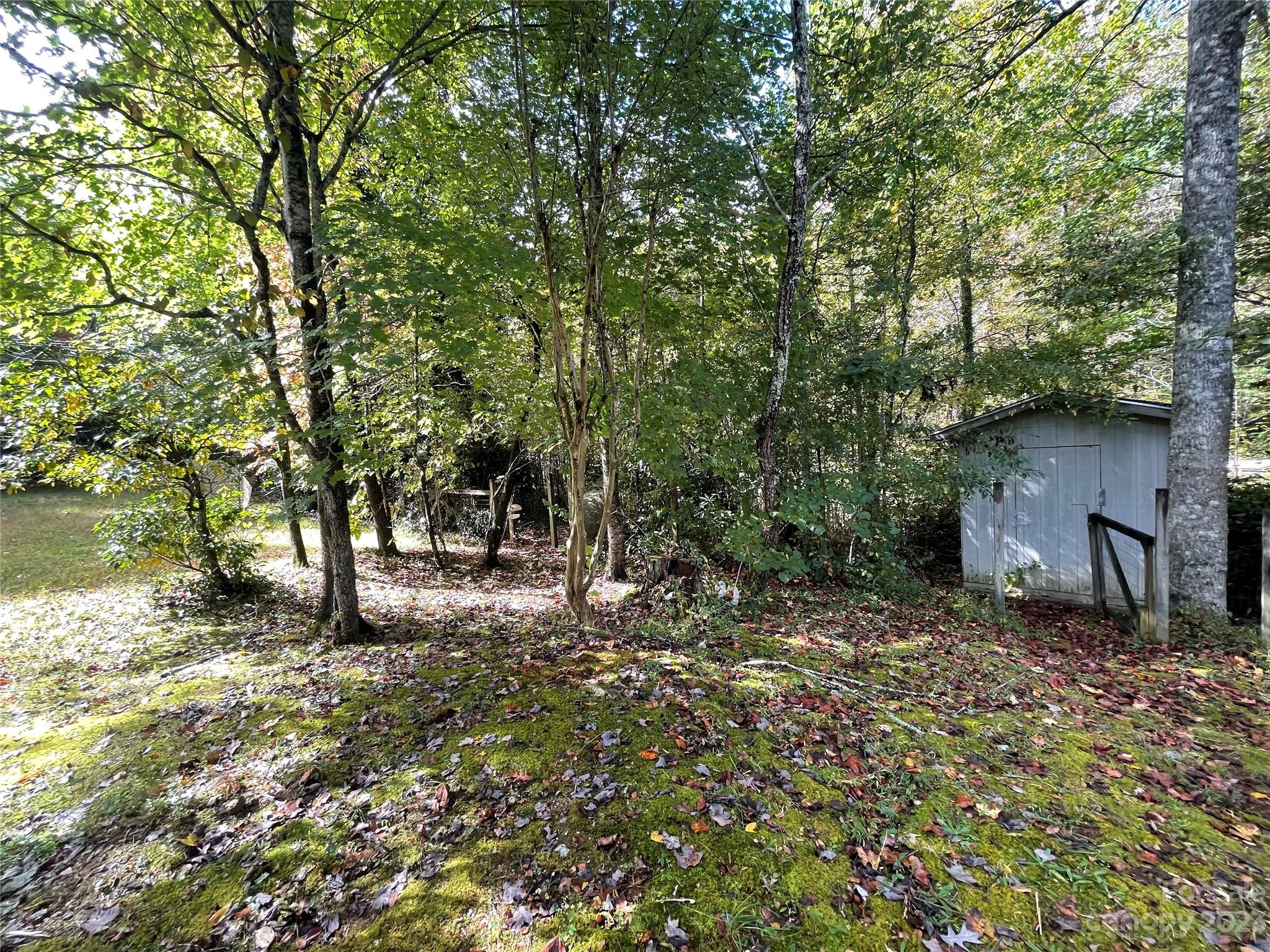 65 Red Bird Song Road