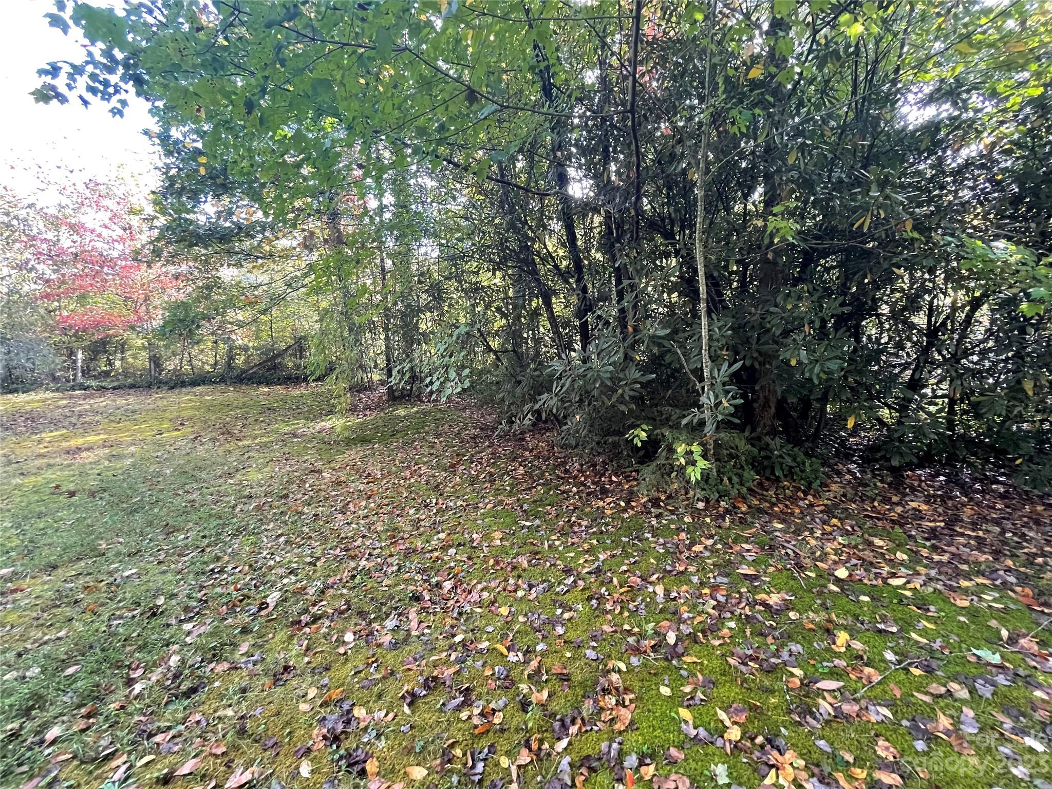 65 Red Bird Song Road