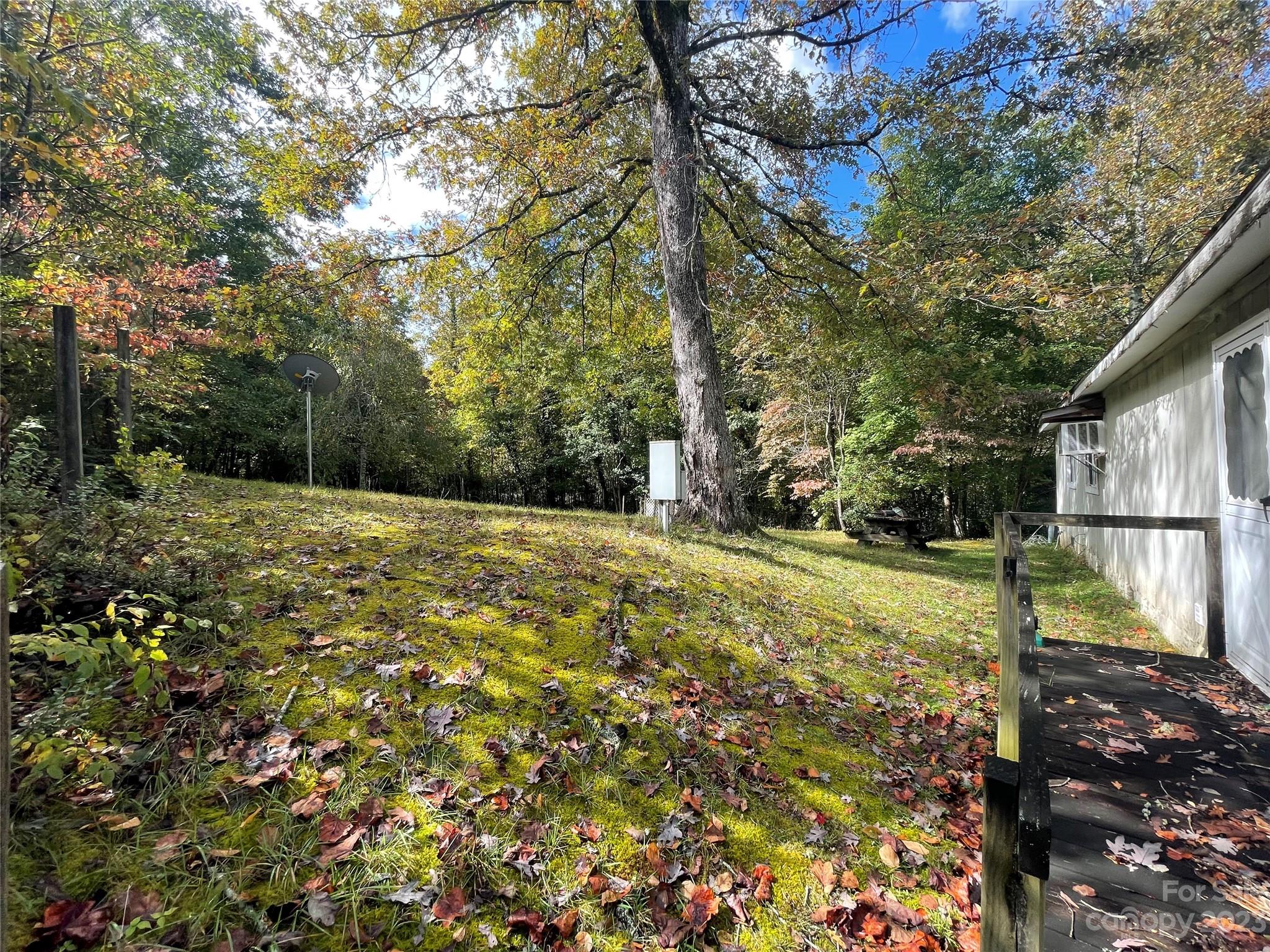 65 Red Bird Song Road