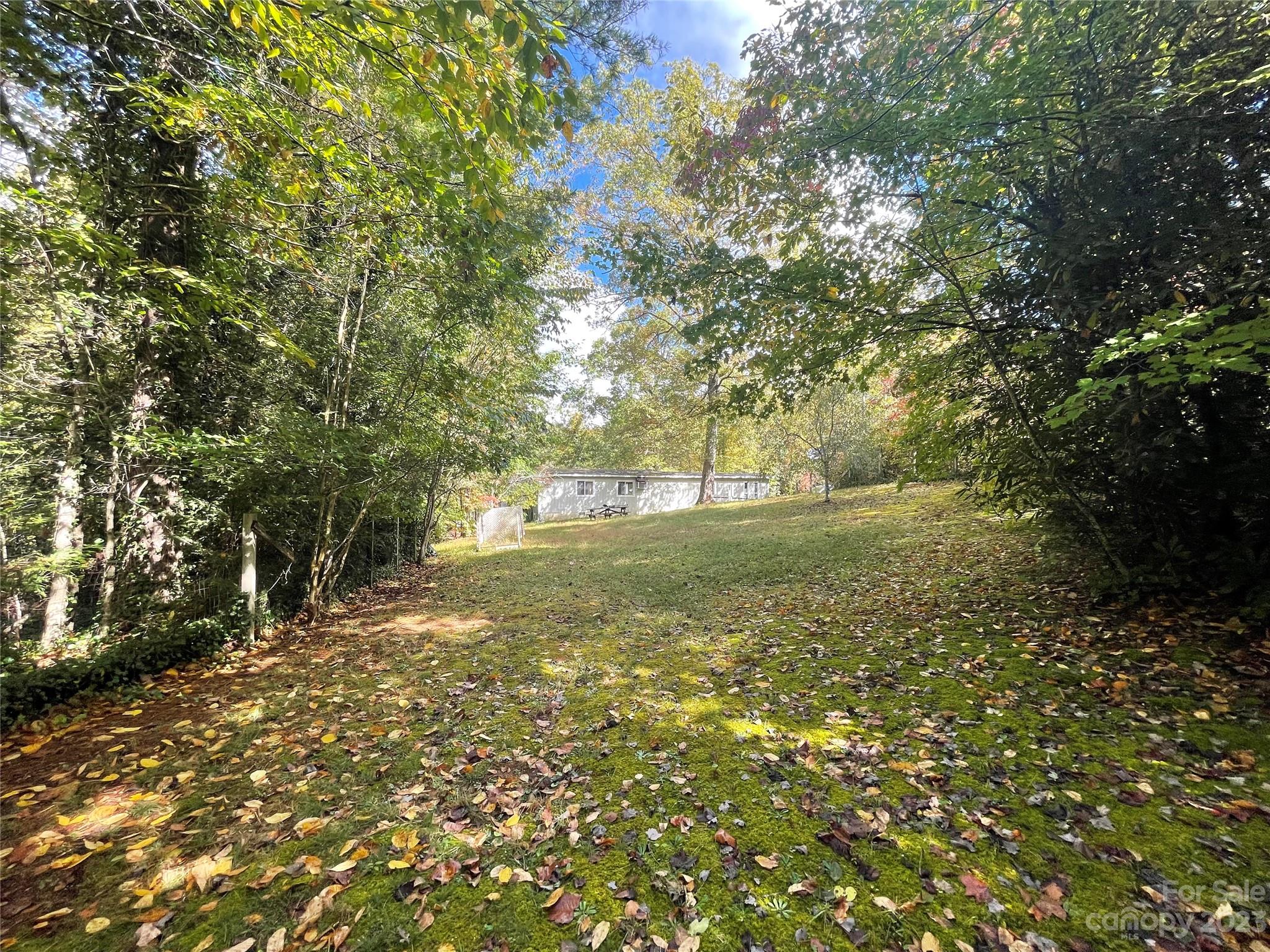 65 Red Bird Song Road