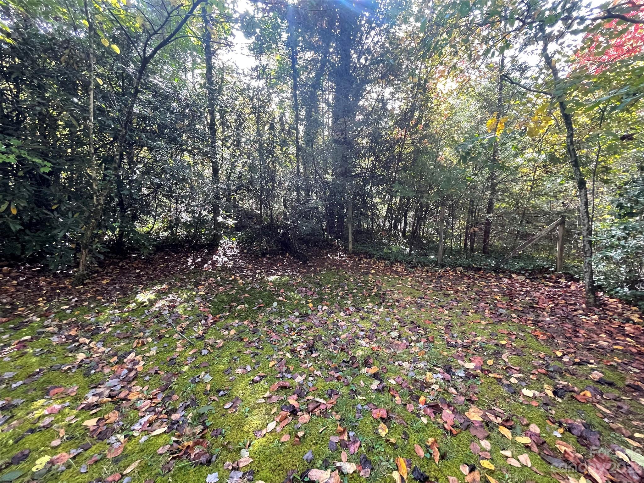 65 Red Bird Song Road