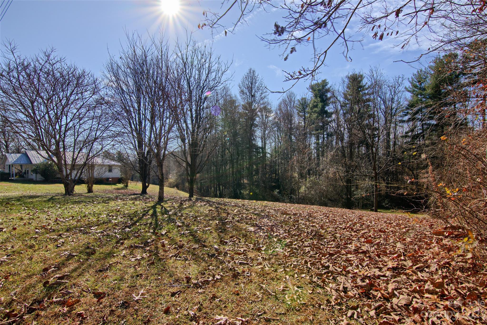 420 Jackson Loop Road