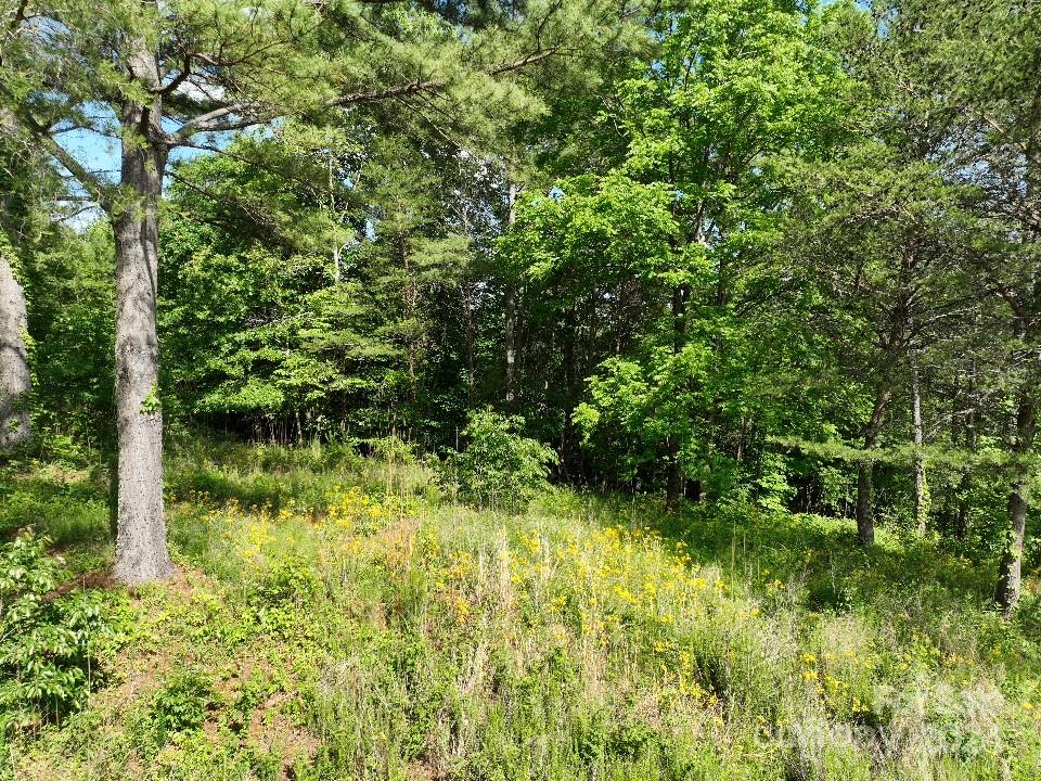 223 (Lot 13) Easy Street