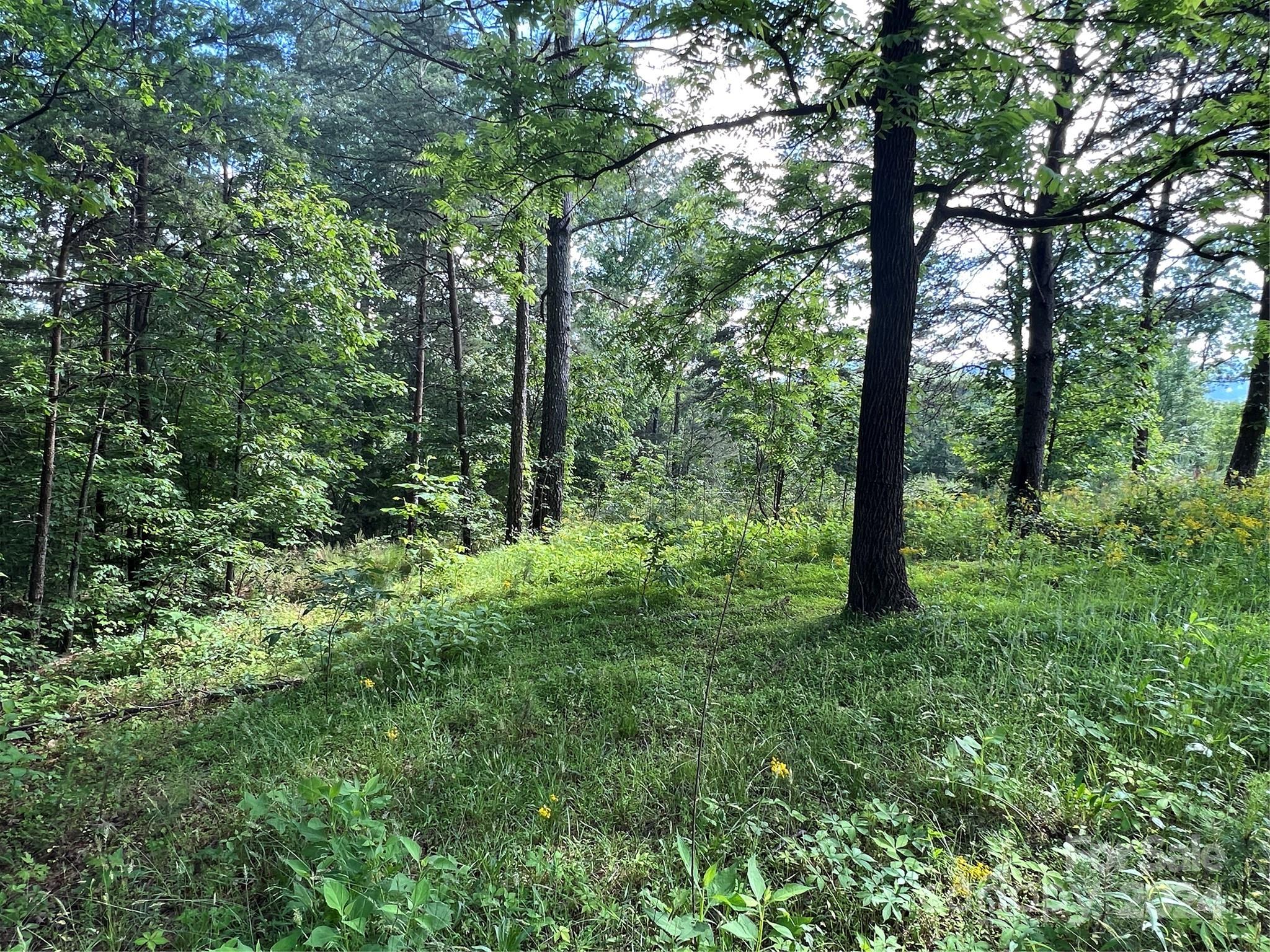 223 (Lot 13) Easy Street