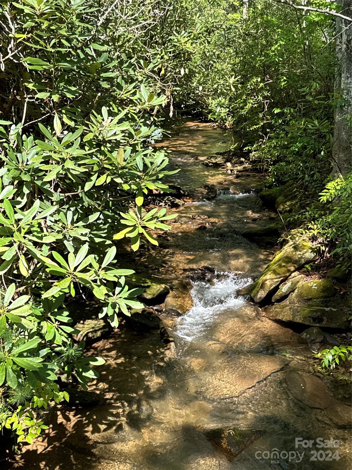 1244 Pinnacle Falls Lane