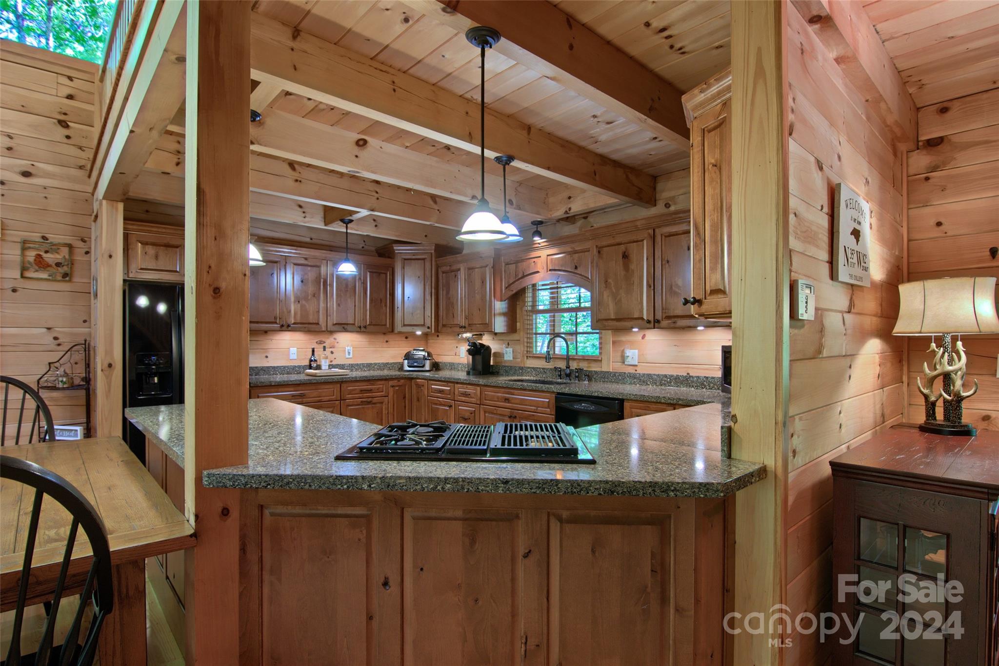 1244 Pinnacle Falls Lane