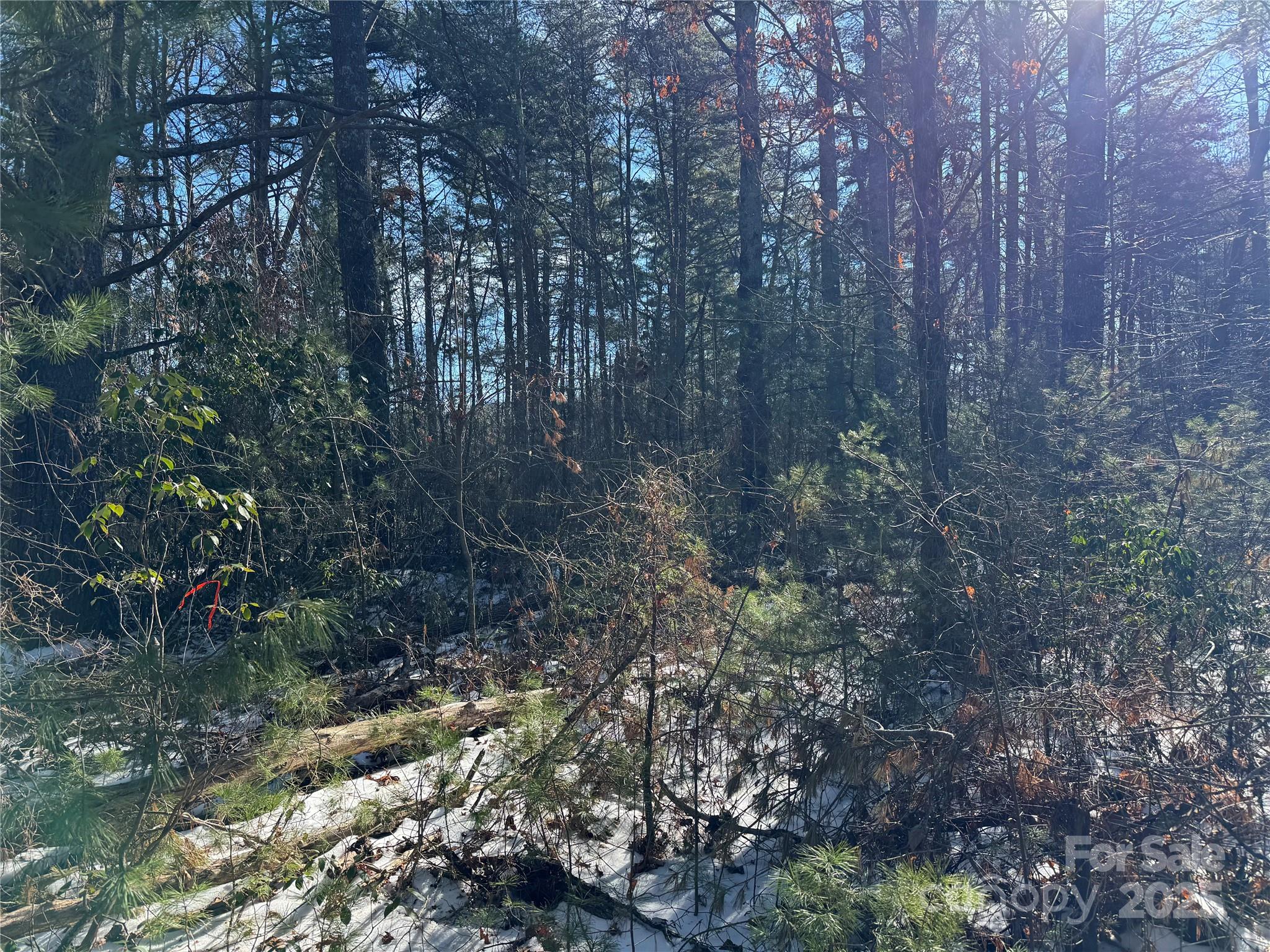 197 Union Hill Church Road