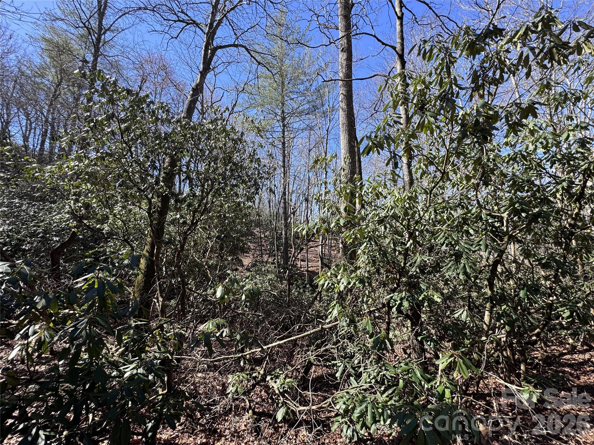 000 Walk About Trail