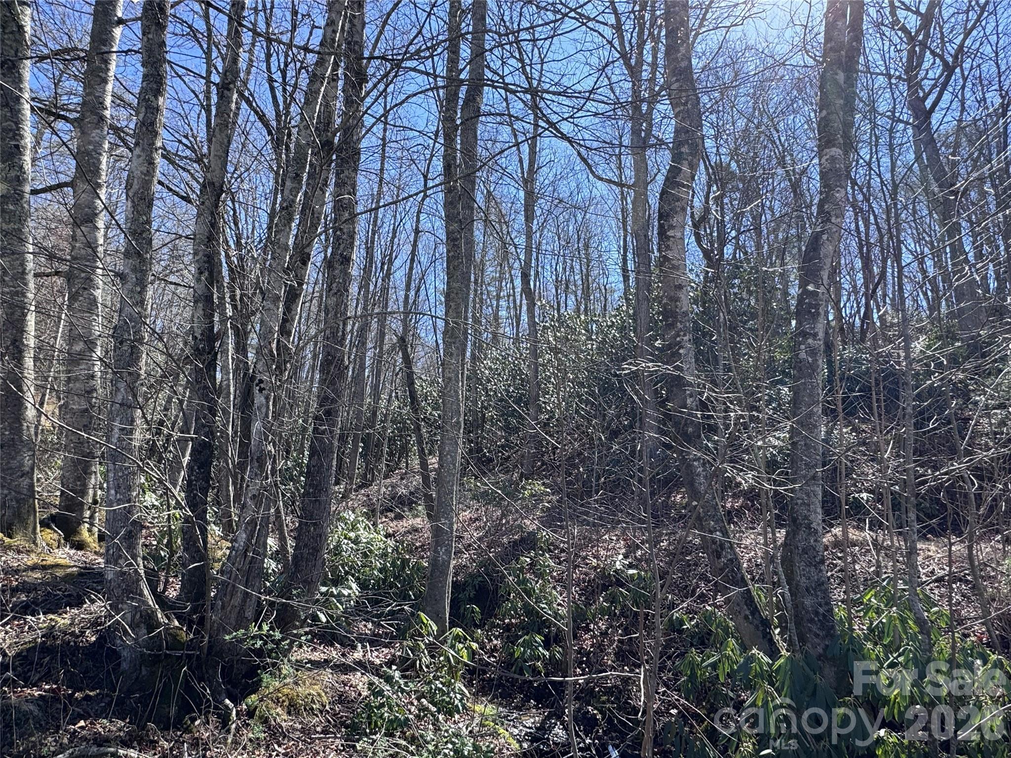 000 Walk About Trail