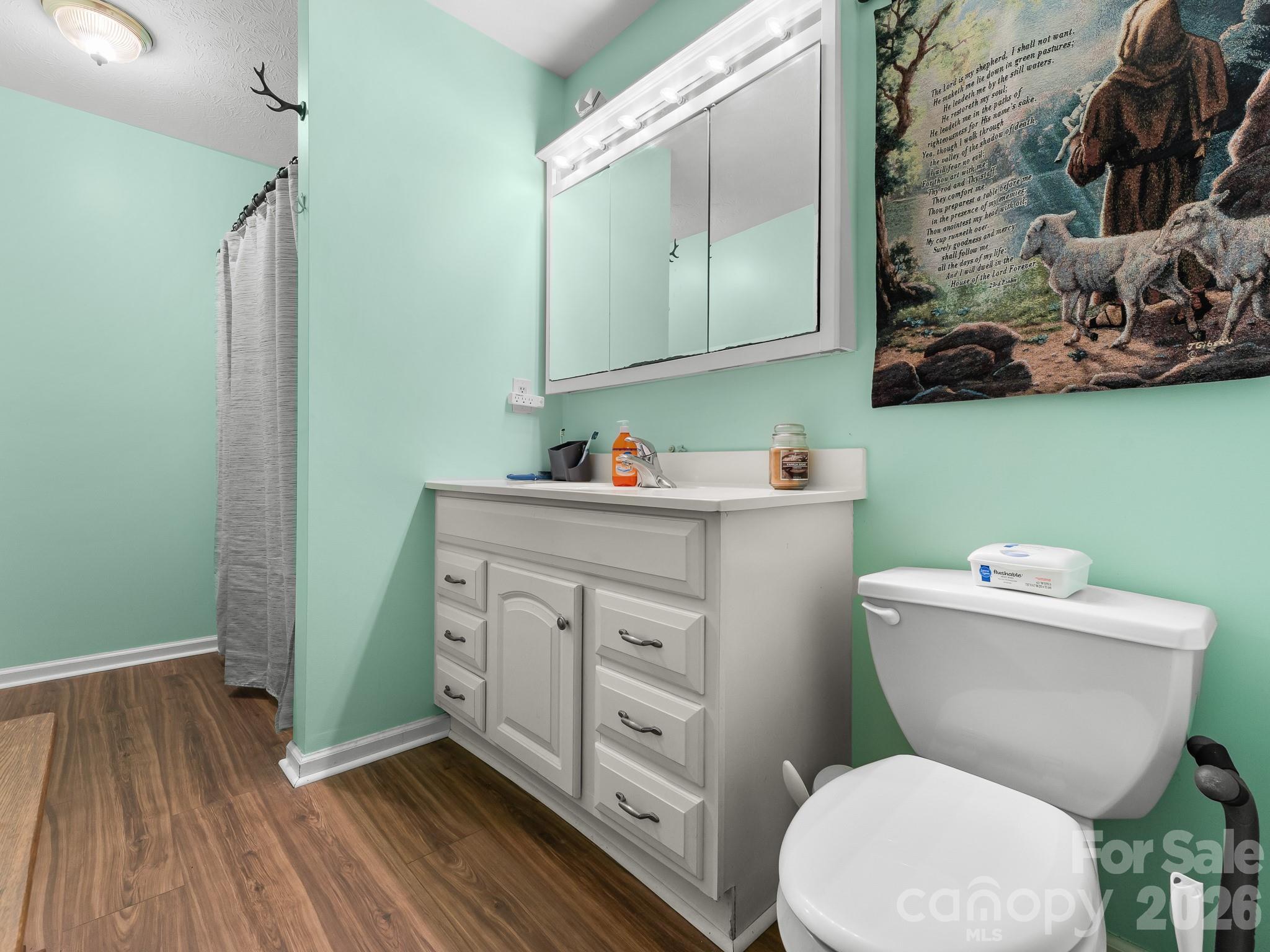 Bathroom with mint-green walls, white vanity and mirrored cabinet, gray shower curtain, and shepherd-and-sheep tapestry.