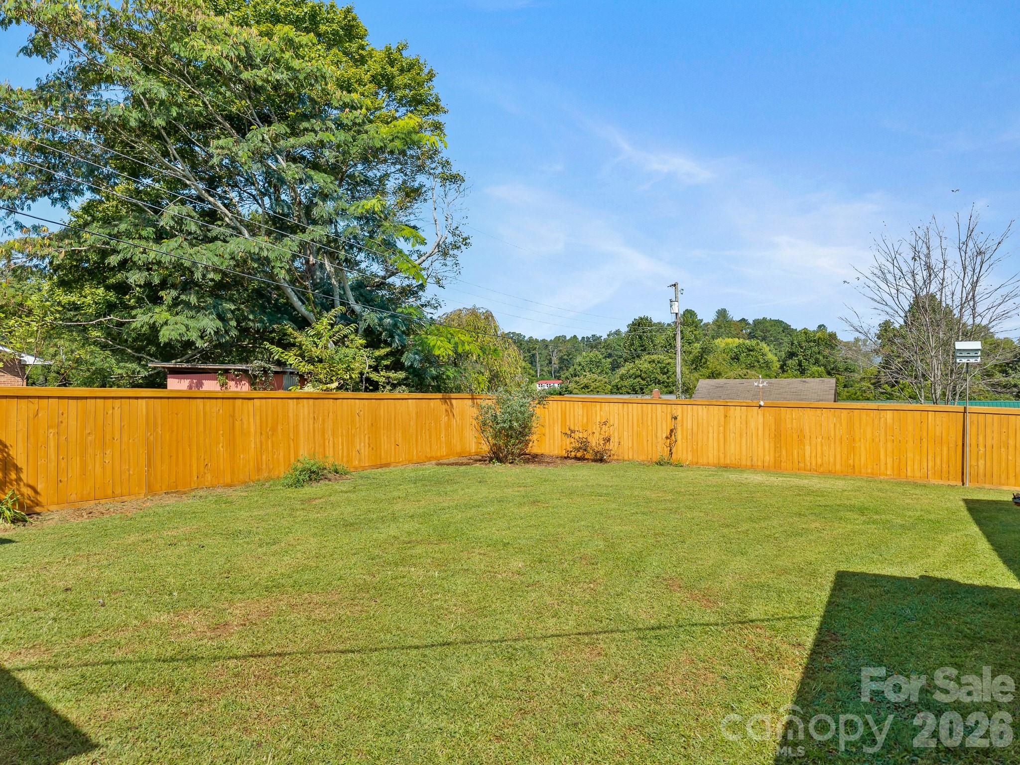 Fenced backyard with a broad lawn, golden wooden privacy fence, and mature trees.