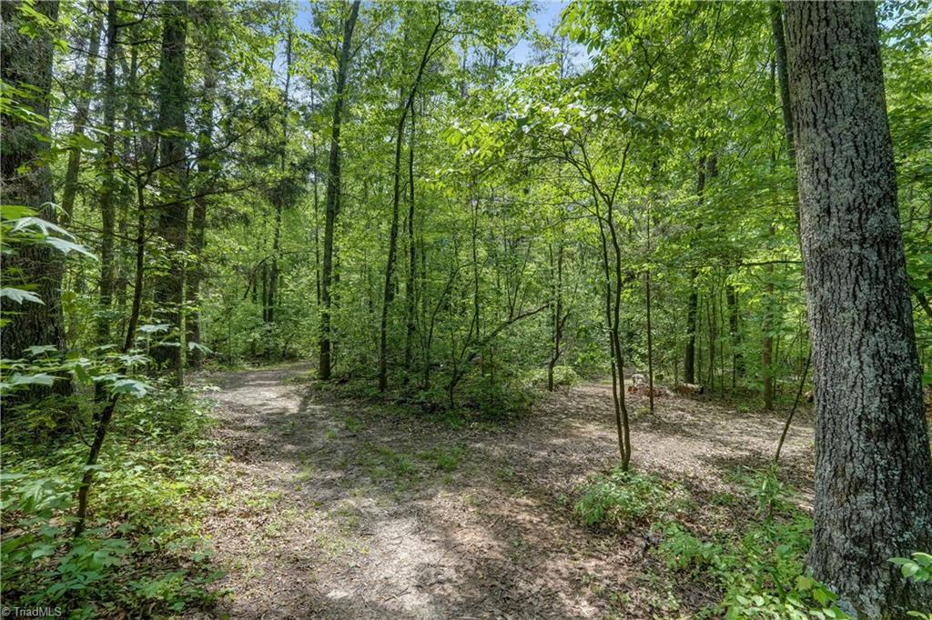 1804 Townsend Forest Lane