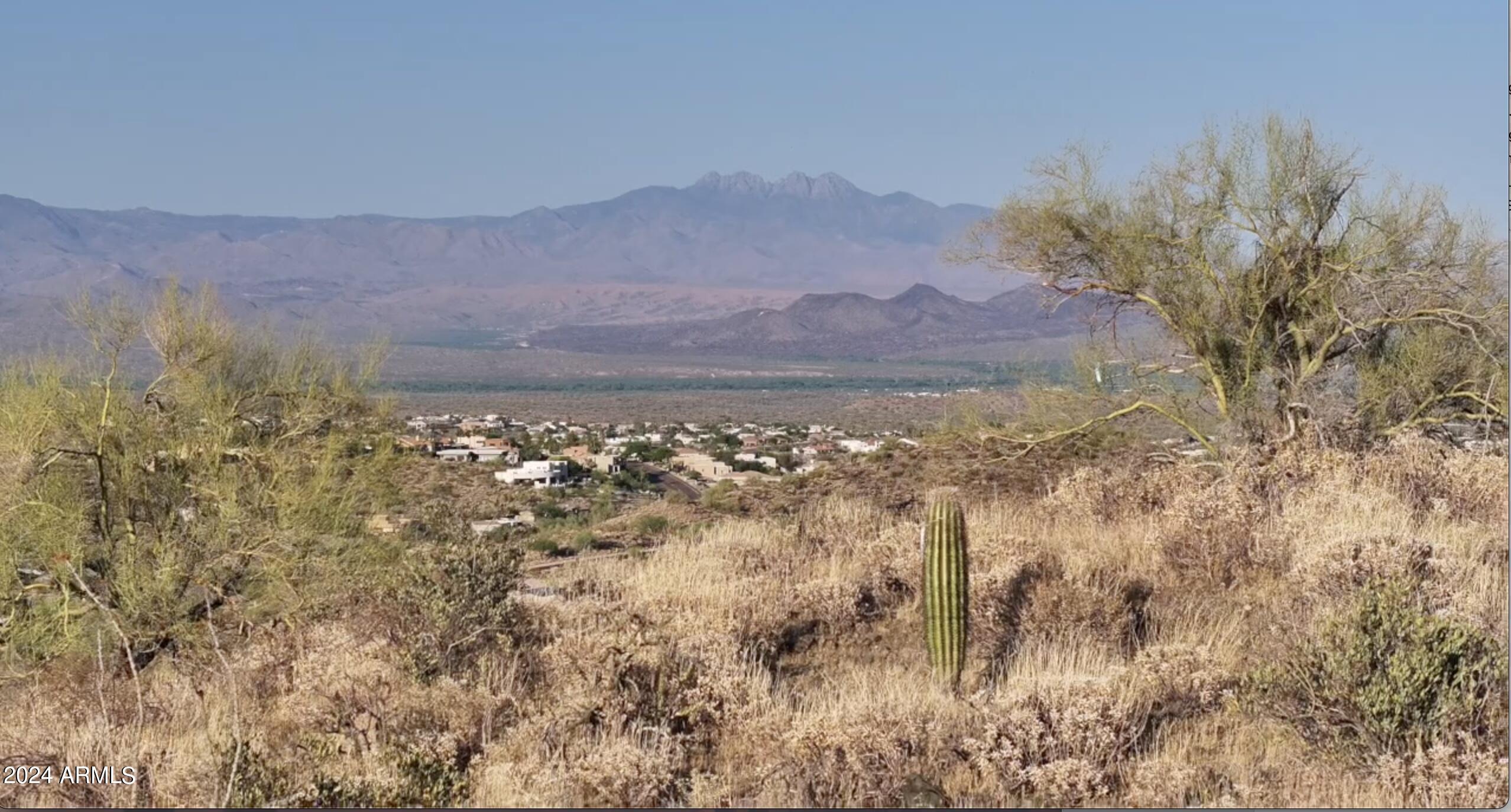 16121 N DIAMONDBACK Trail, 161