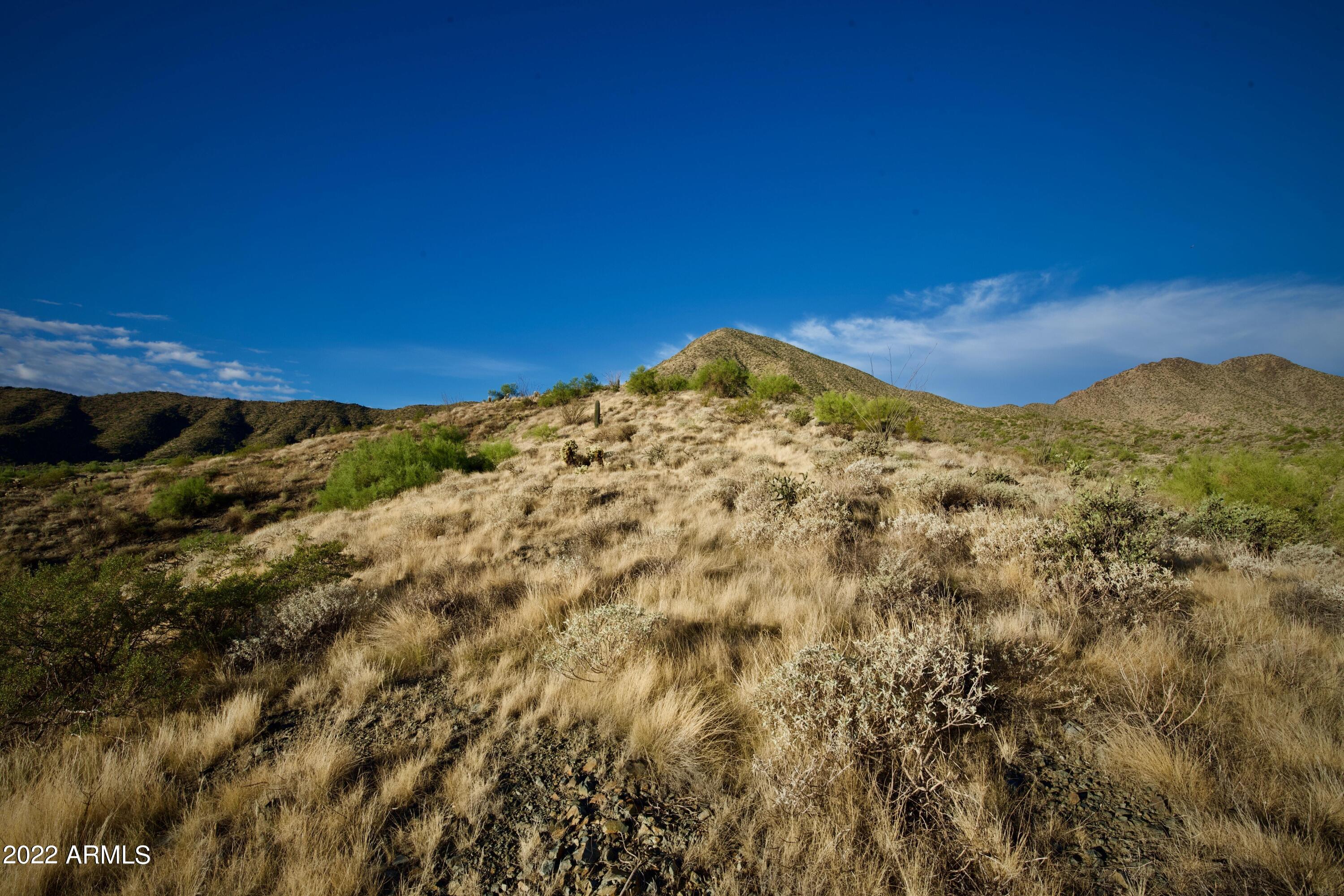 13947 E BIGHORN Parkway, 137