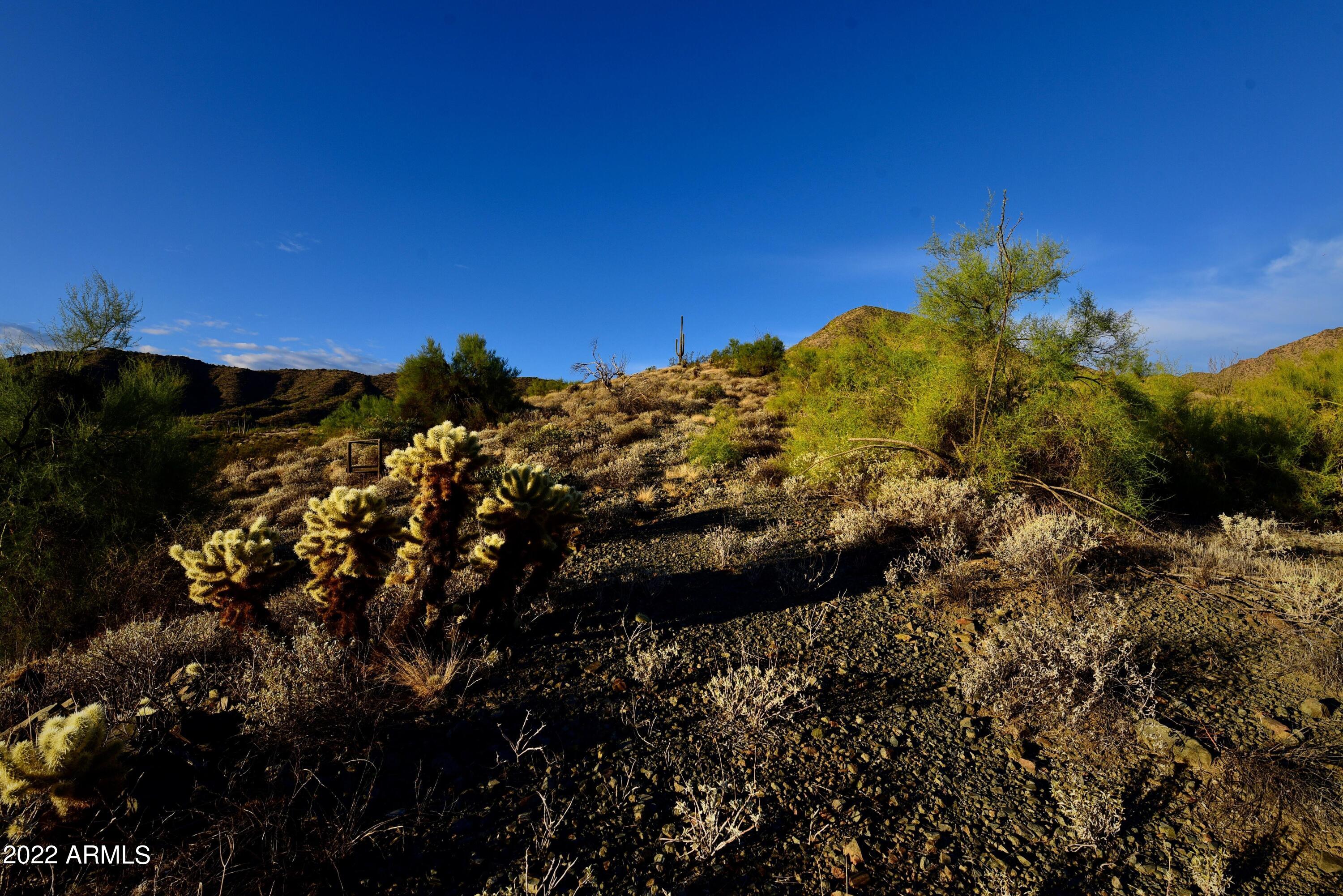 13947 E BIGHORN Parkway, 137