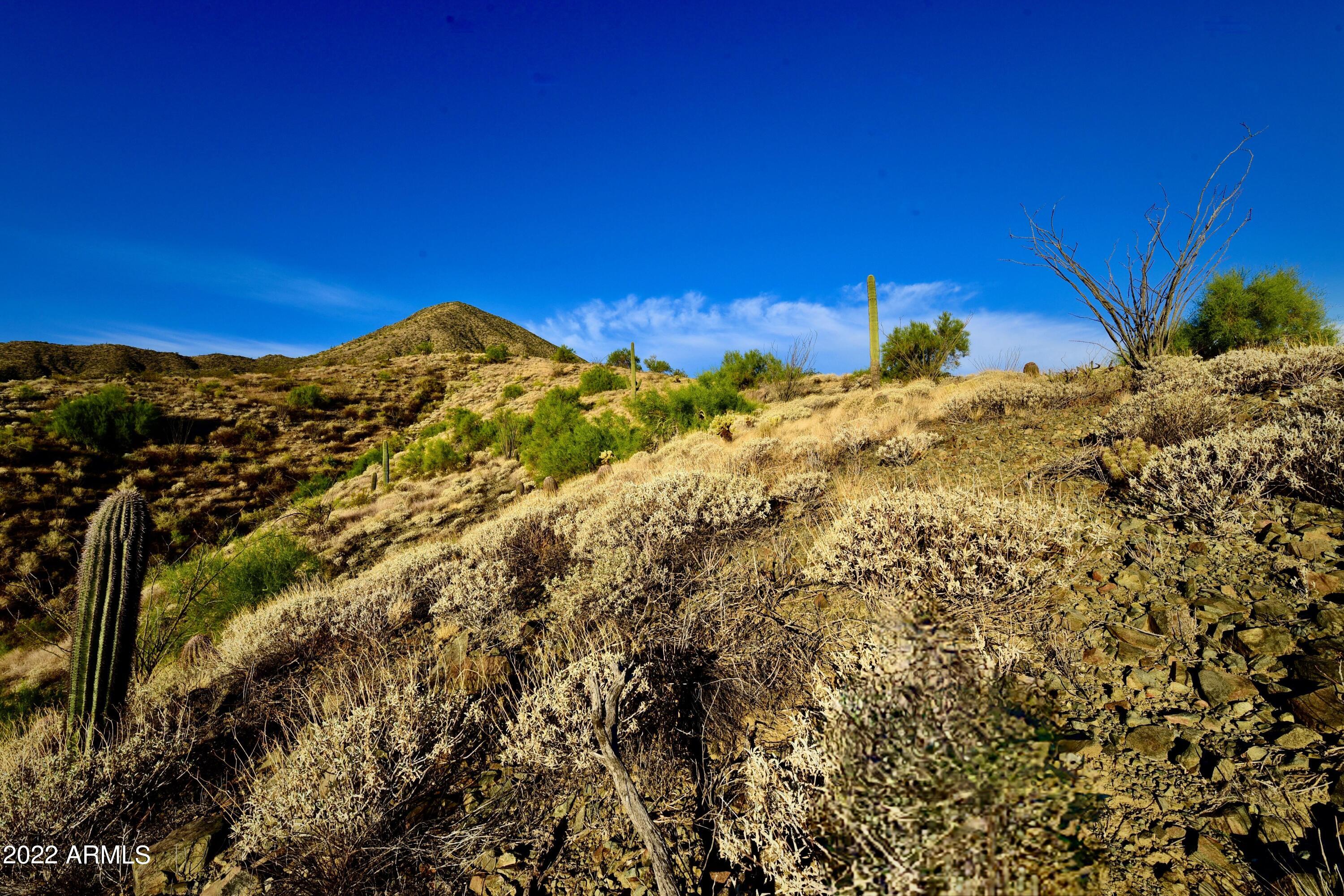 13947 E BIGHORN Parkway, 137