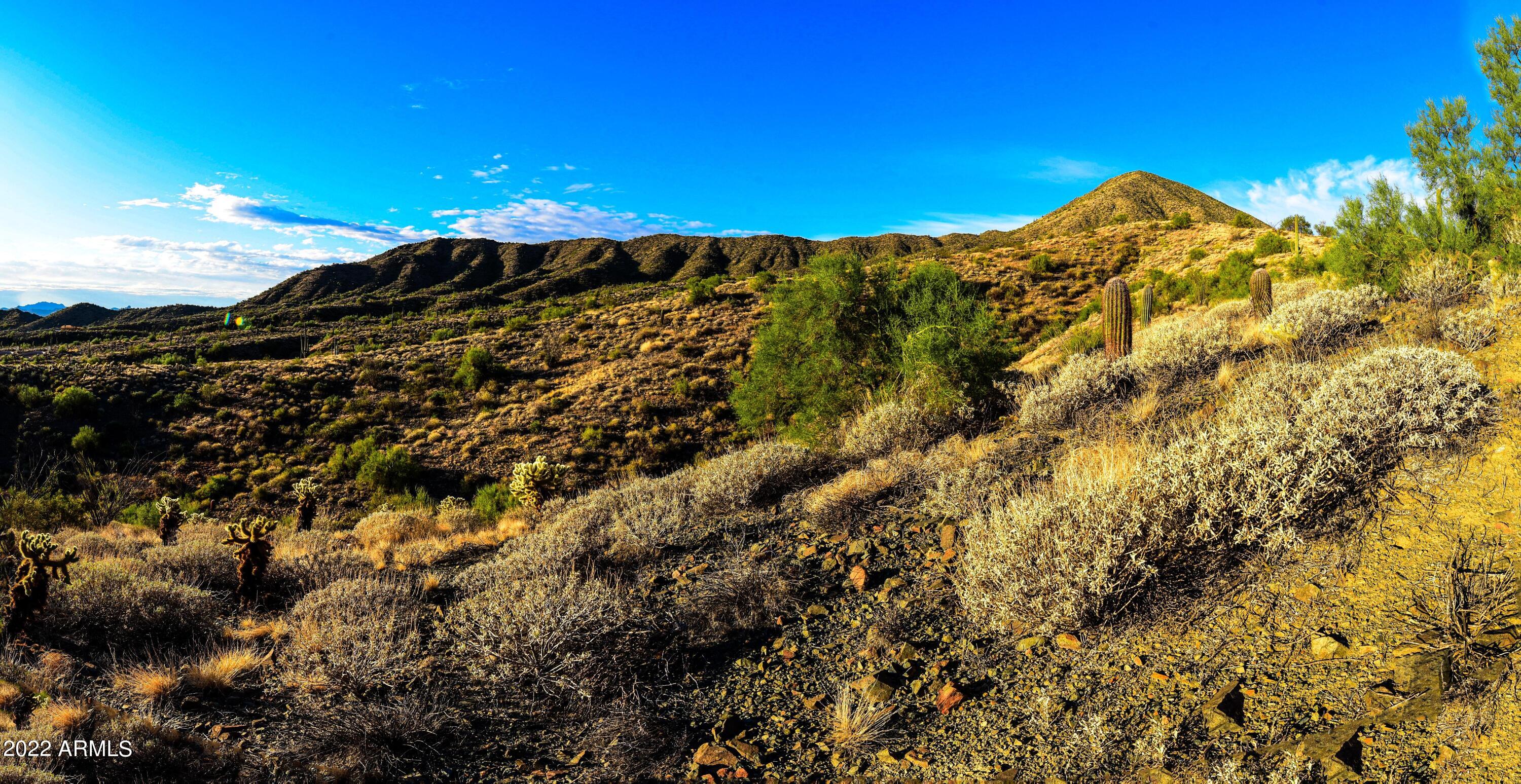 13947 E BIGHORN Parkway, 137