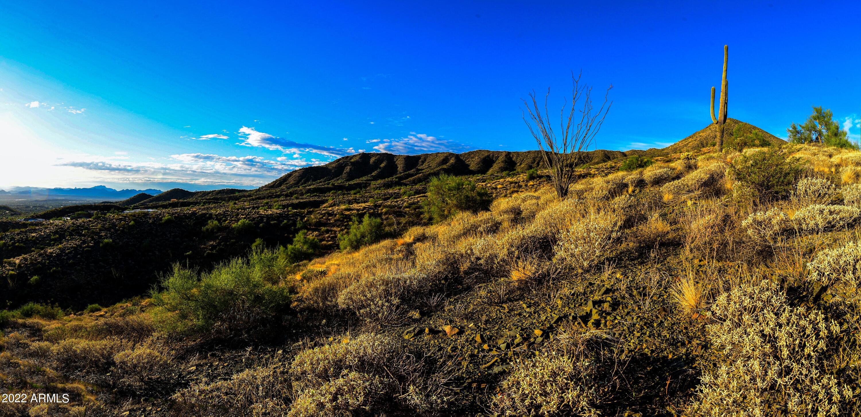 13947 E BIGHORN Parkway, 137