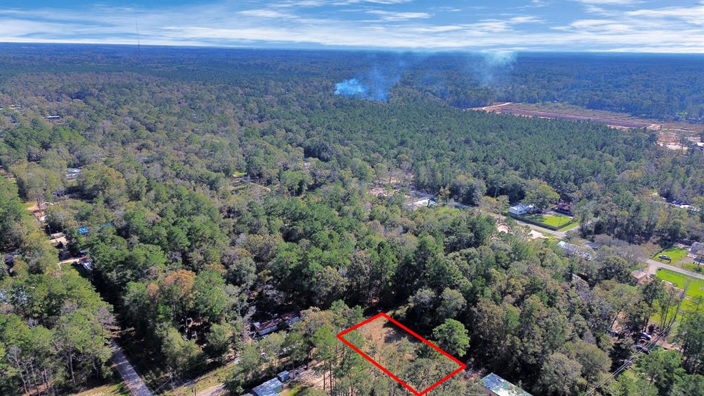 14246 Double X Street