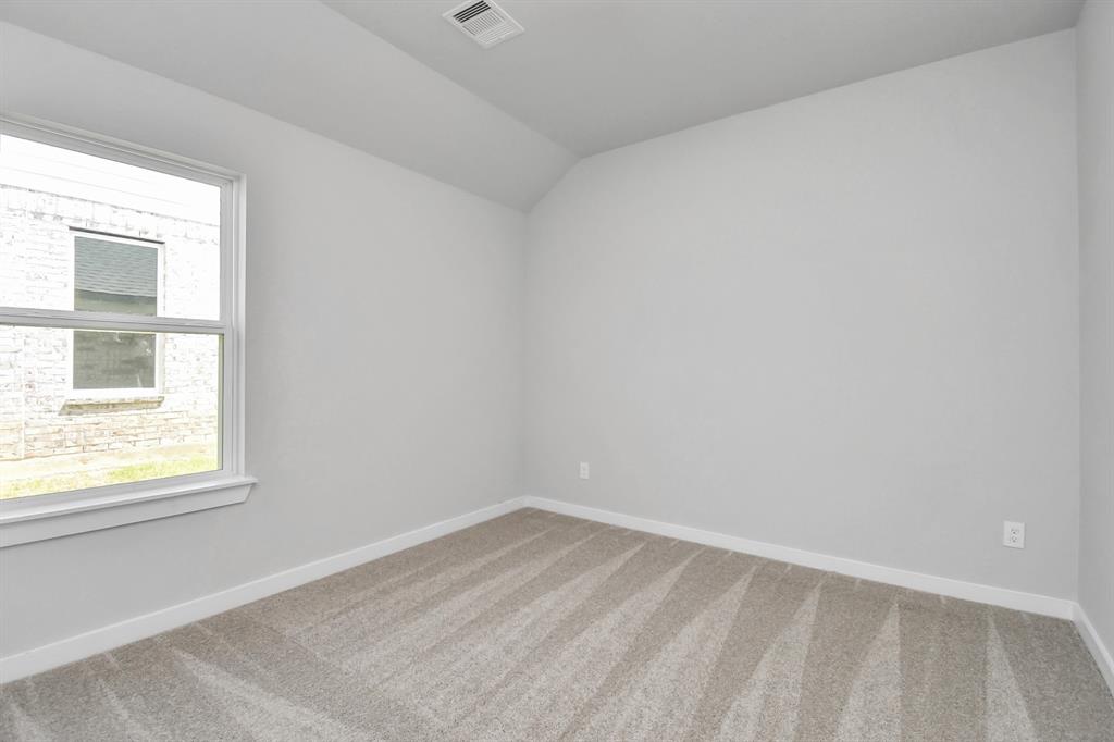 18207 Yaupon Bough Lane