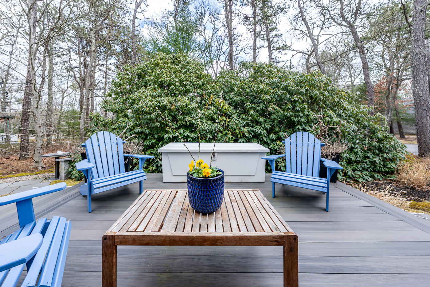 220 Lewis Pond Road