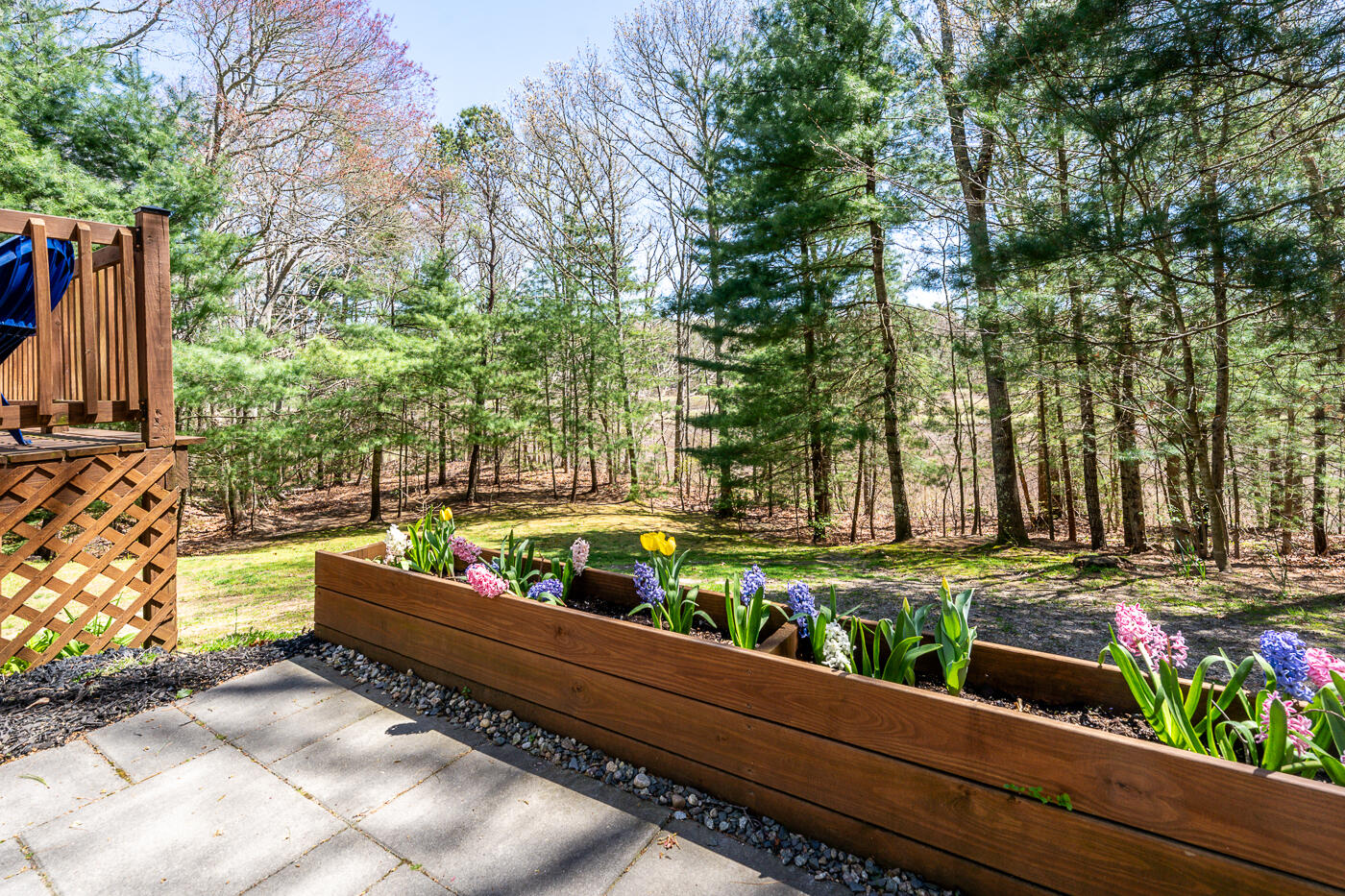 228 Whistleberry Drive