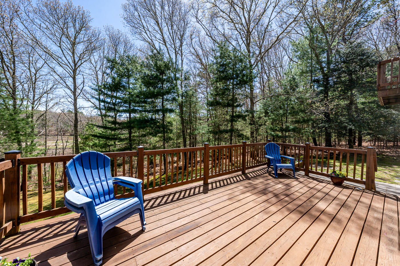 228 Whistleberry Drive