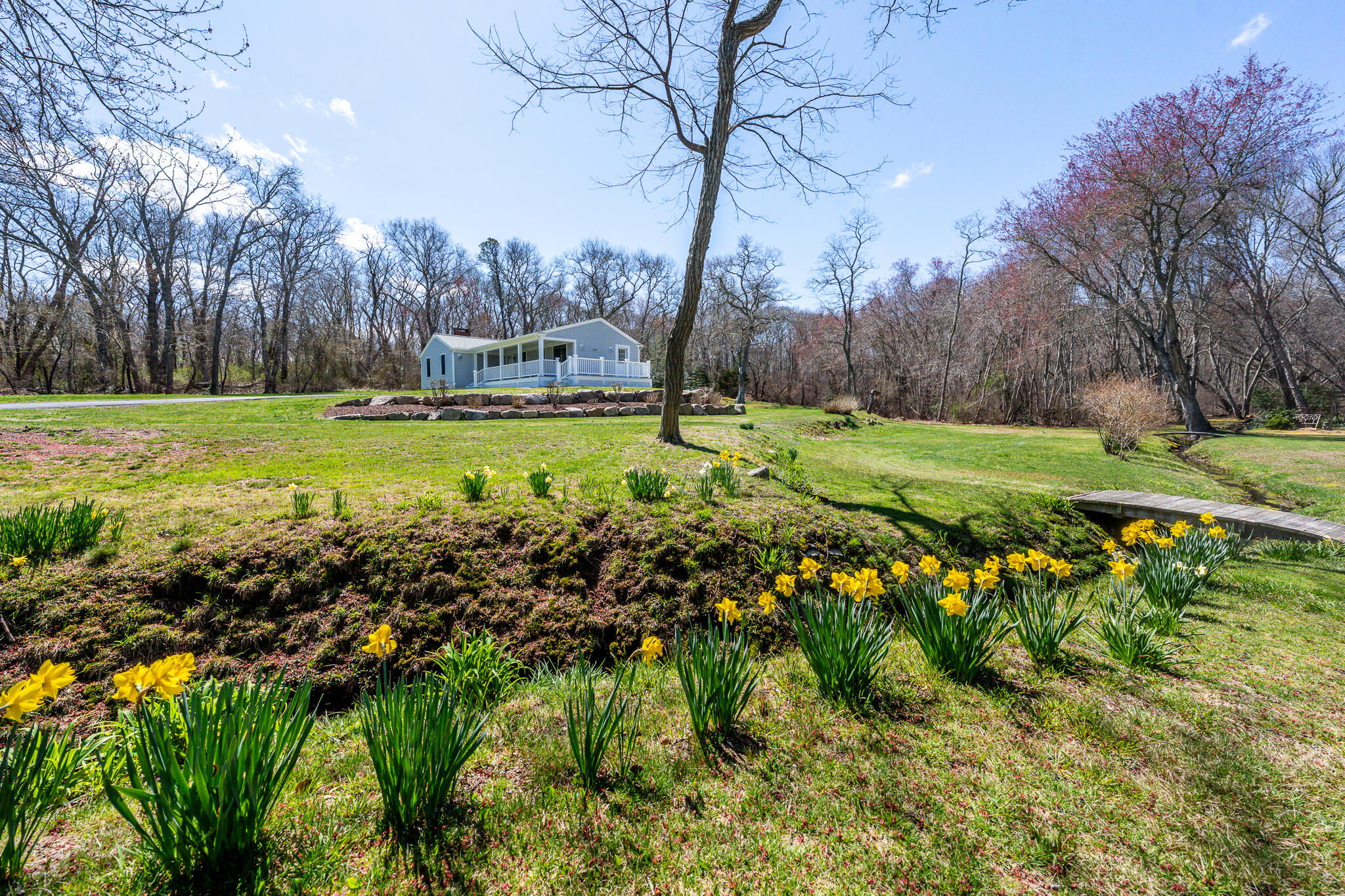 339 Cedar Street