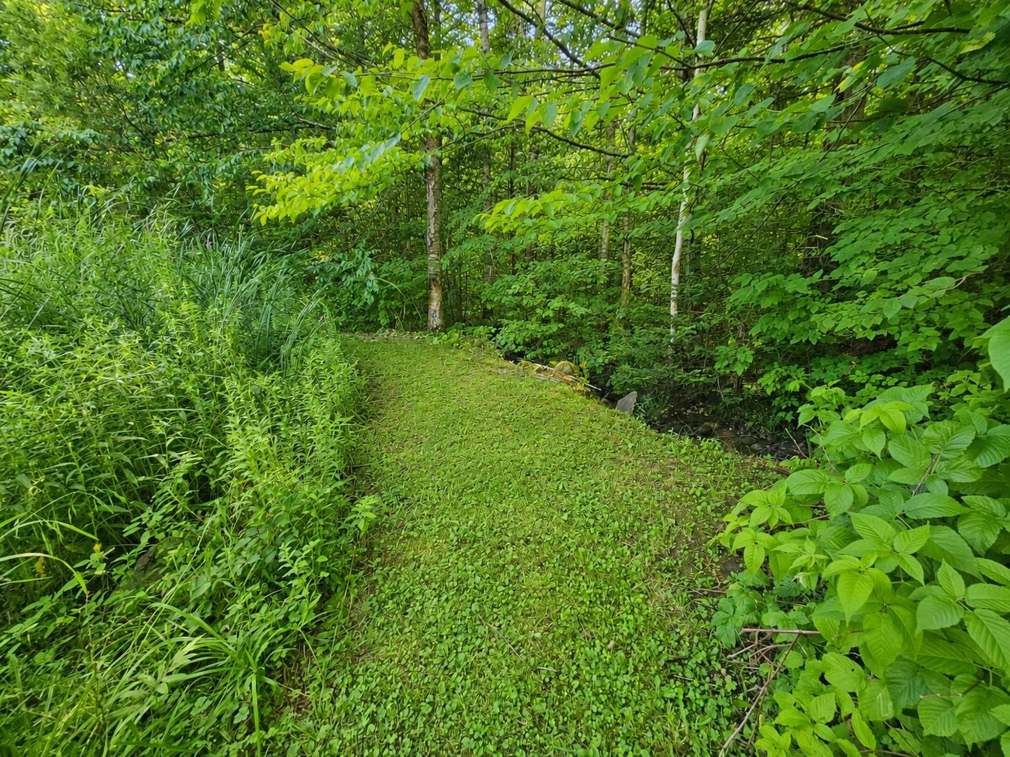 2016 Hinman Settler Road