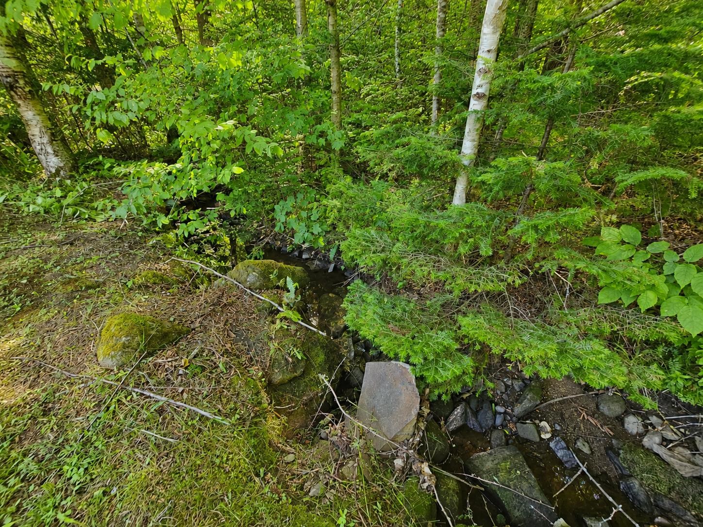 2016 Hinman Settler Road