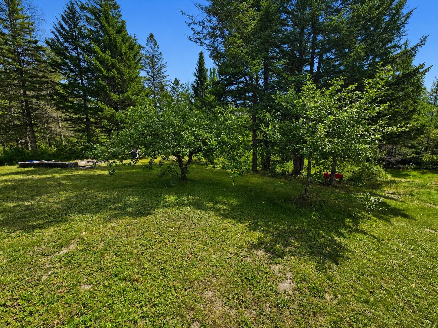 3790 Head of the Pond Road