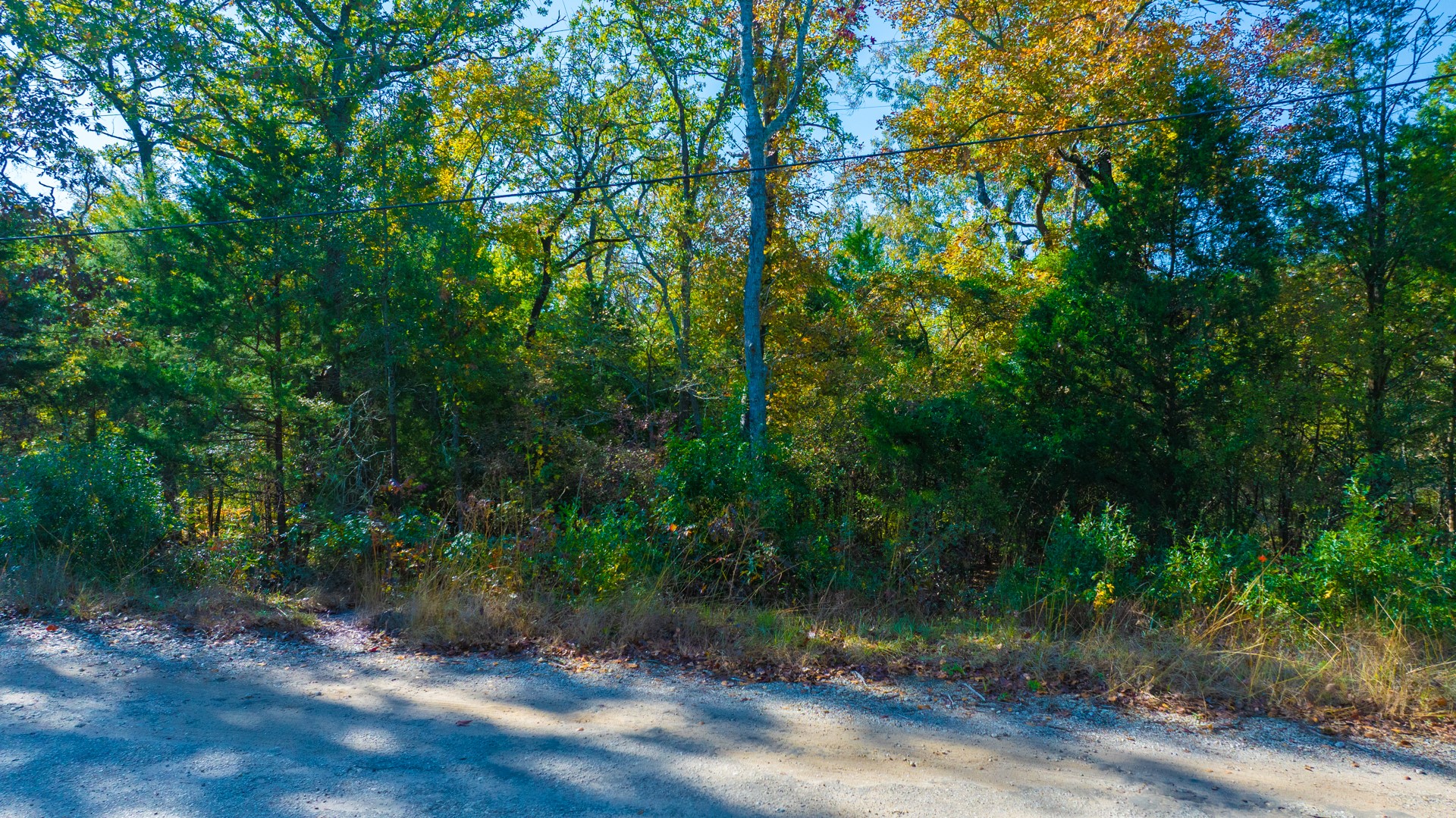 TBD-3 Cottonwood Lane