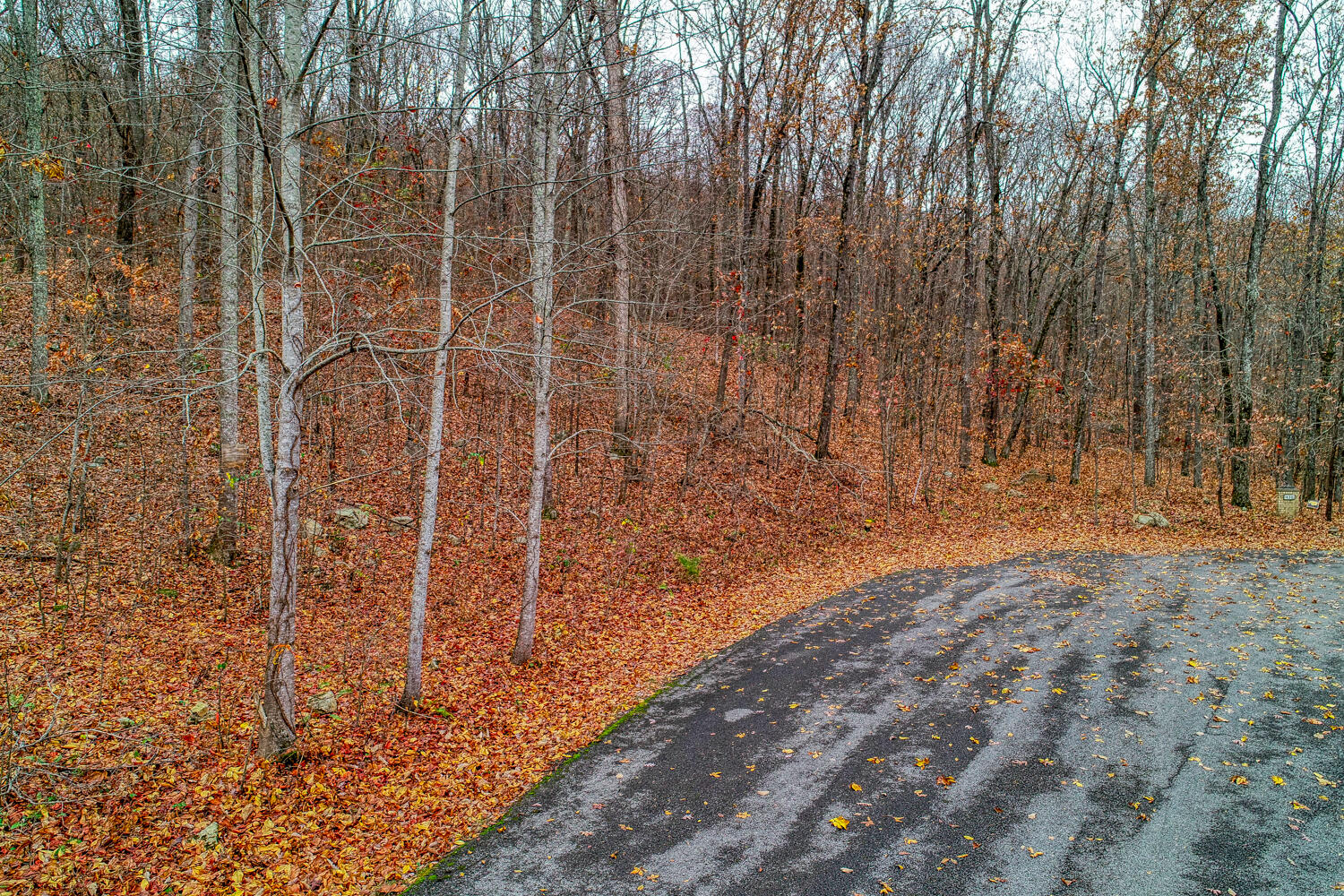 0 Nickajack Trail, 32