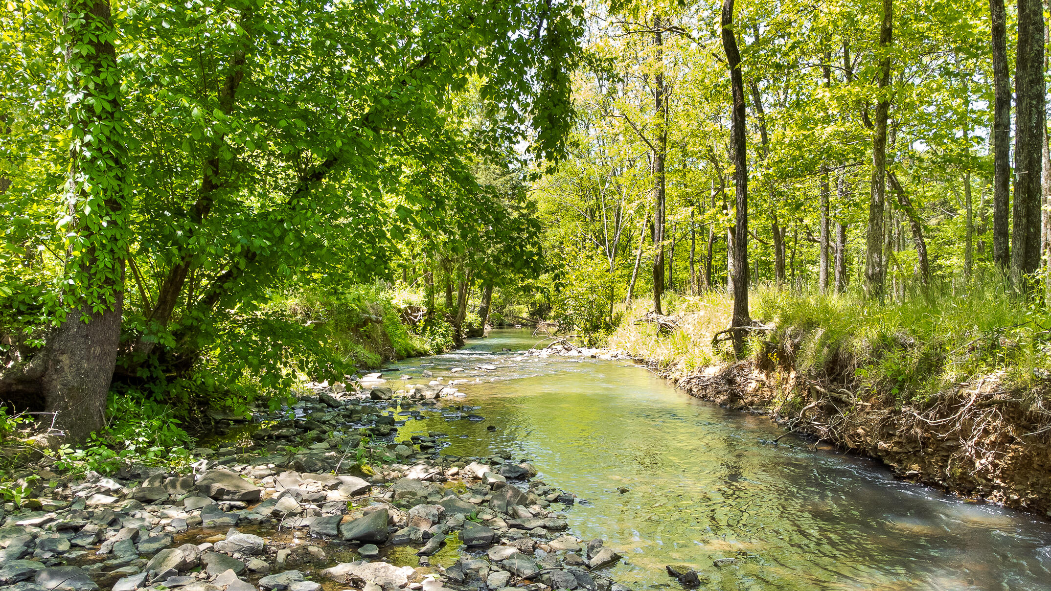 1750 Oakbrook Trail
