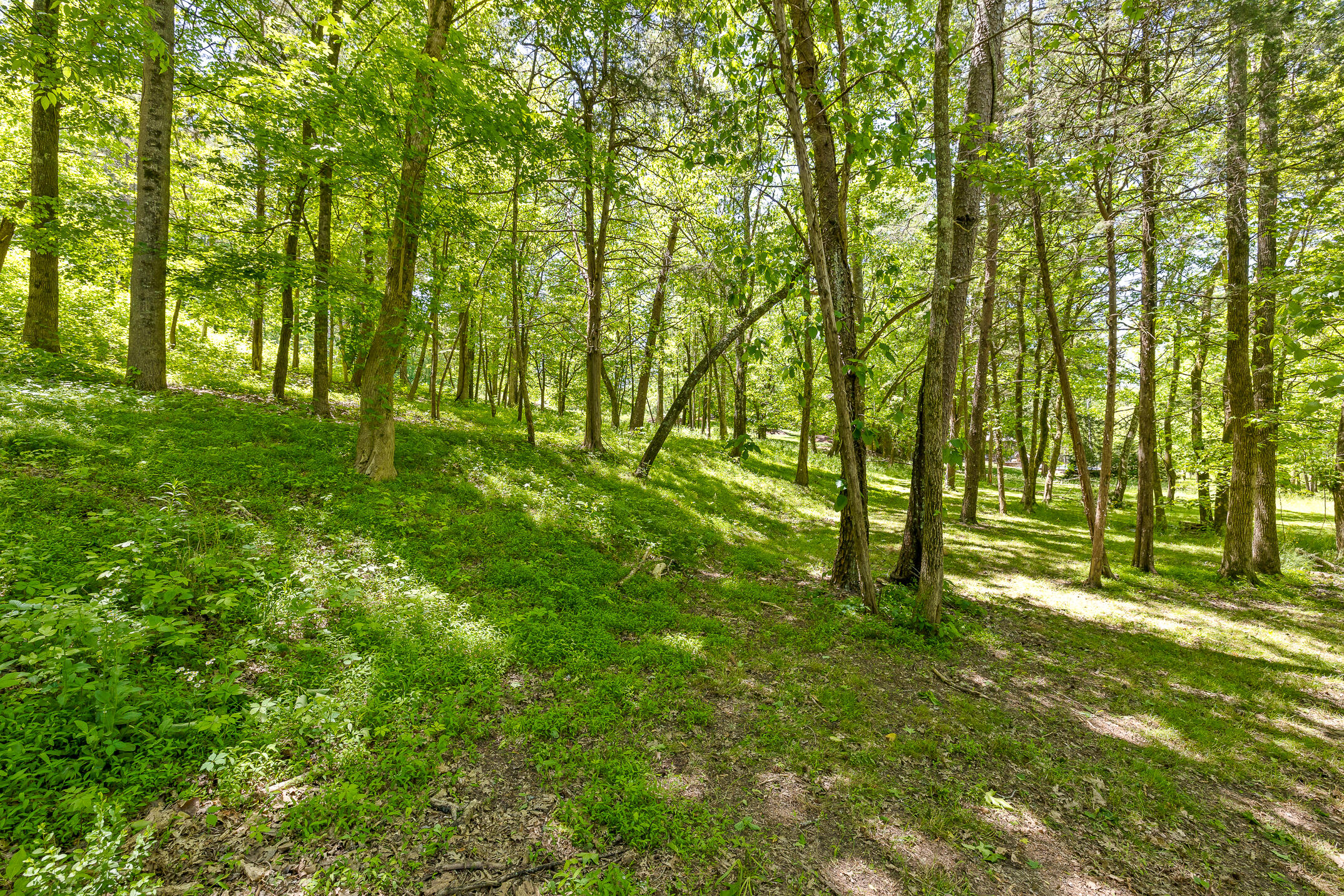 1750 Oakbrook Trail
