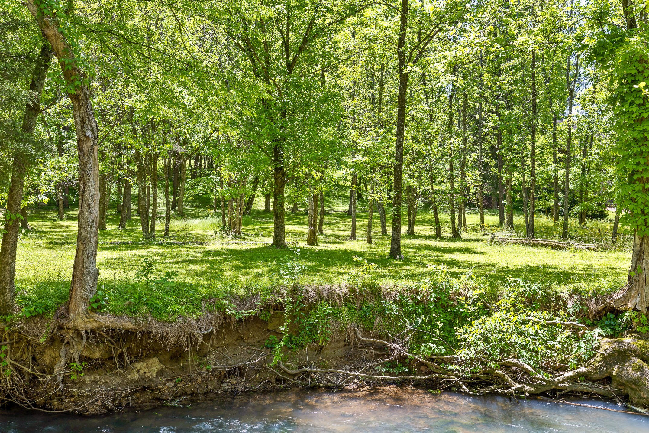 1750 Oakbrook Trail