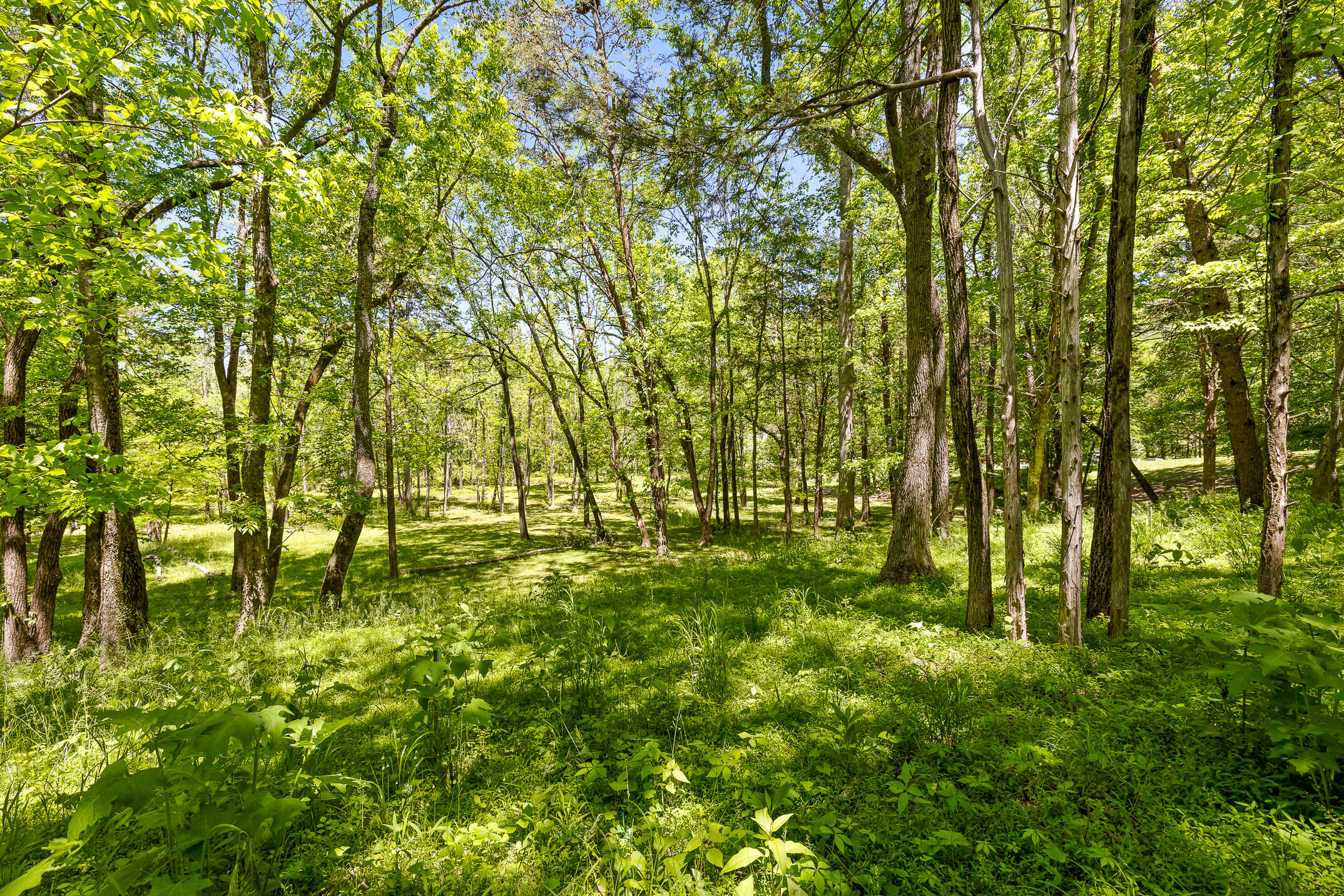 1750 Oakbrook Trail
