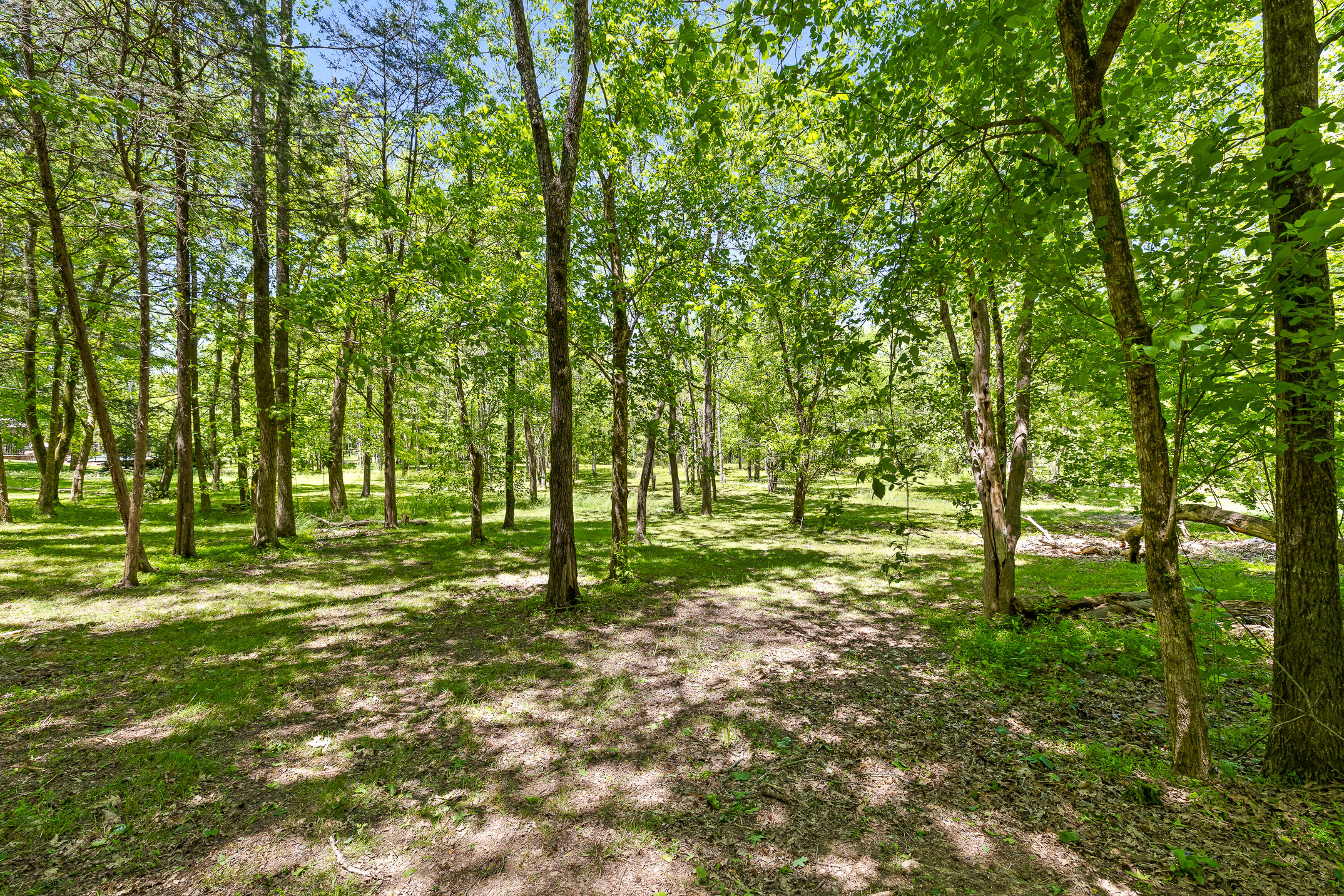 1750 Oakbrook Trail