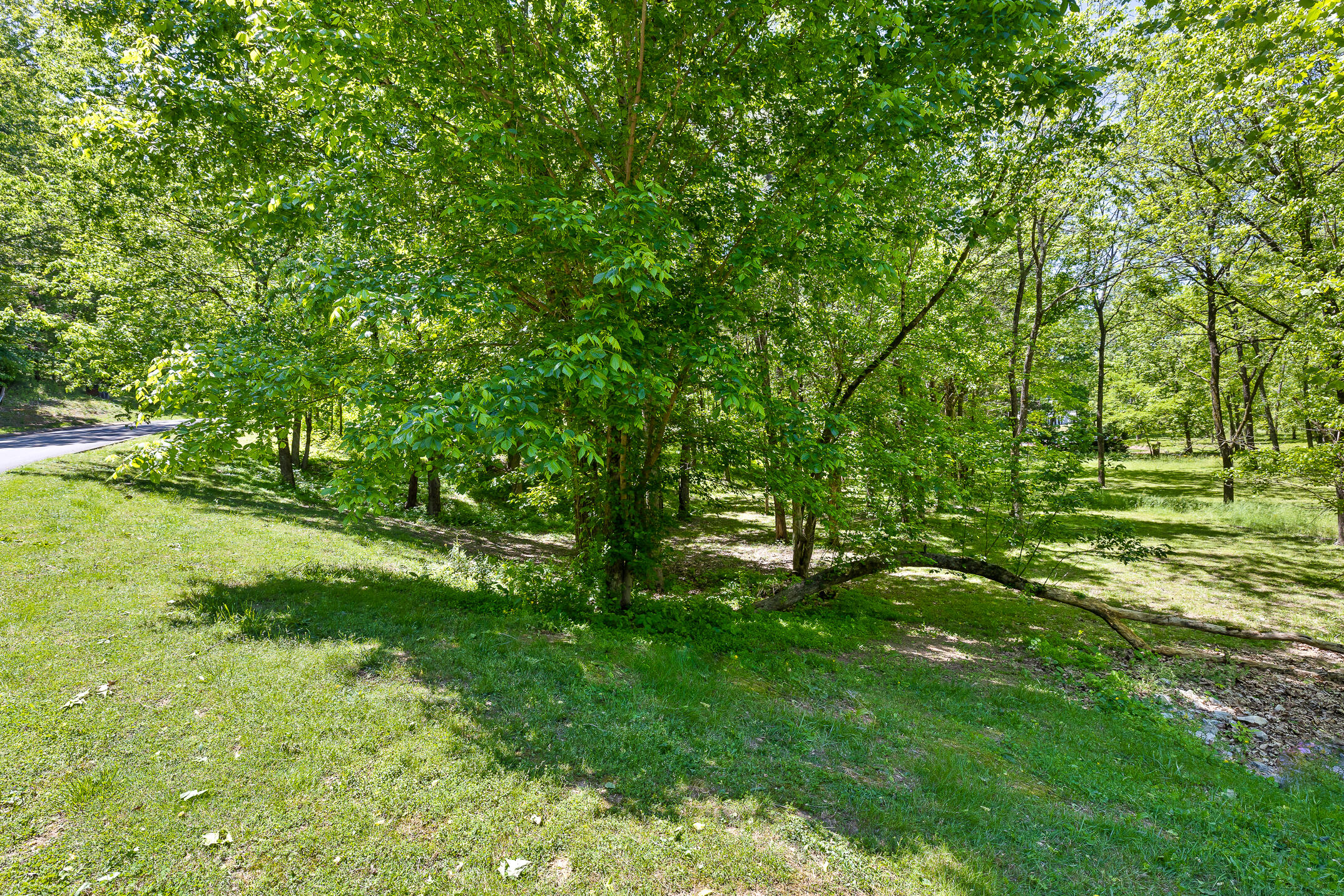 1750 Oakbrook Trail