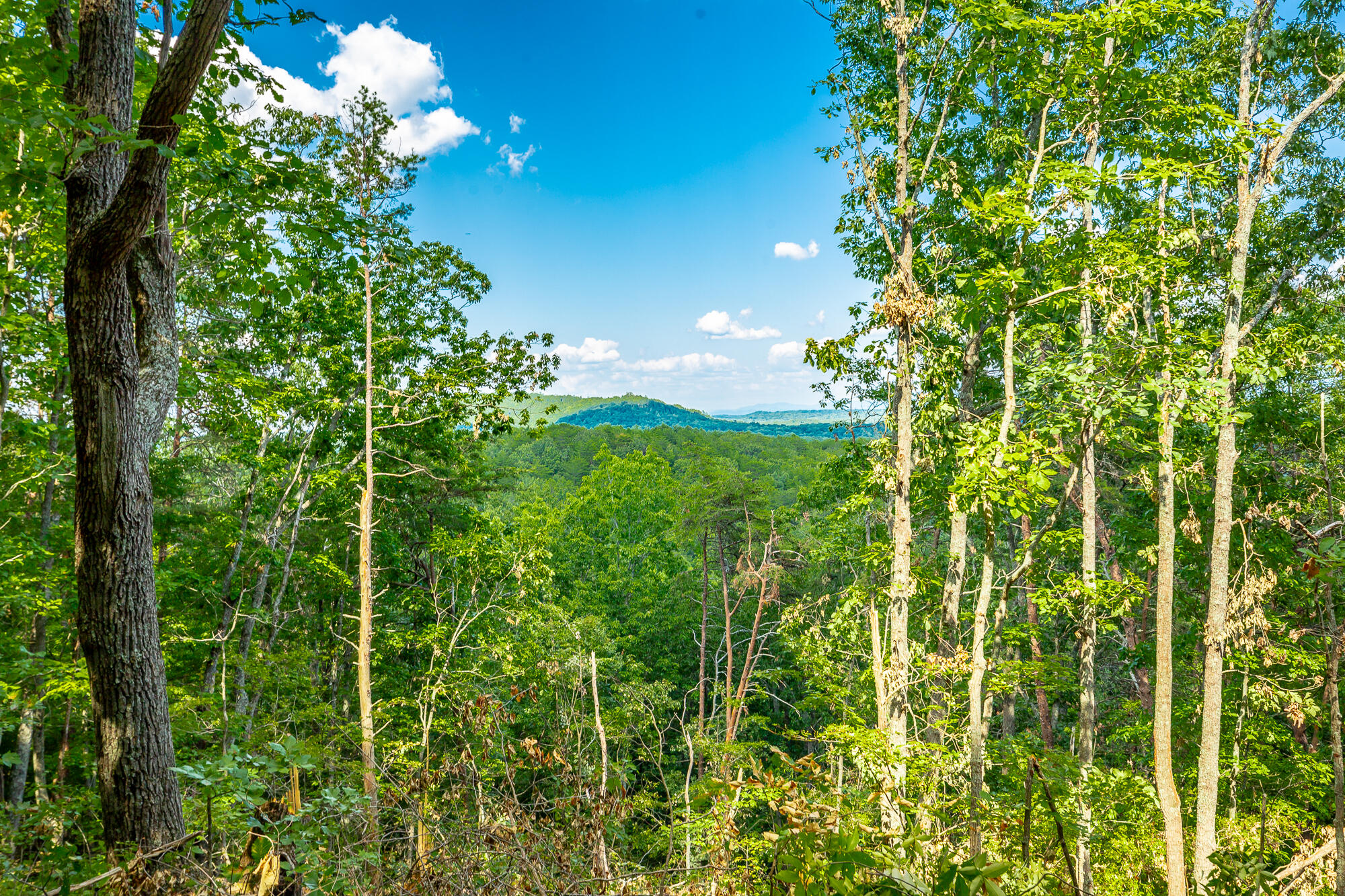 0 Clearview Drive, Lot 1