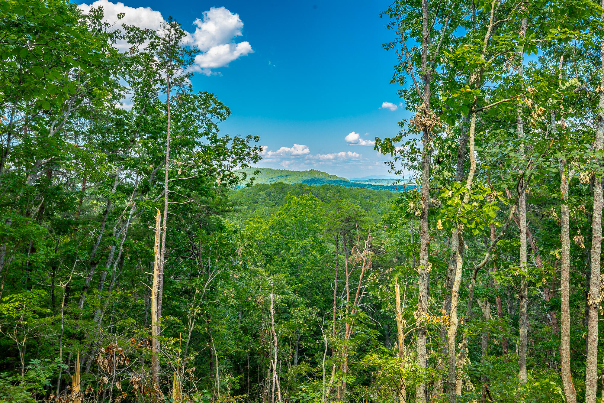 0 Clearview Drive, Lot 1