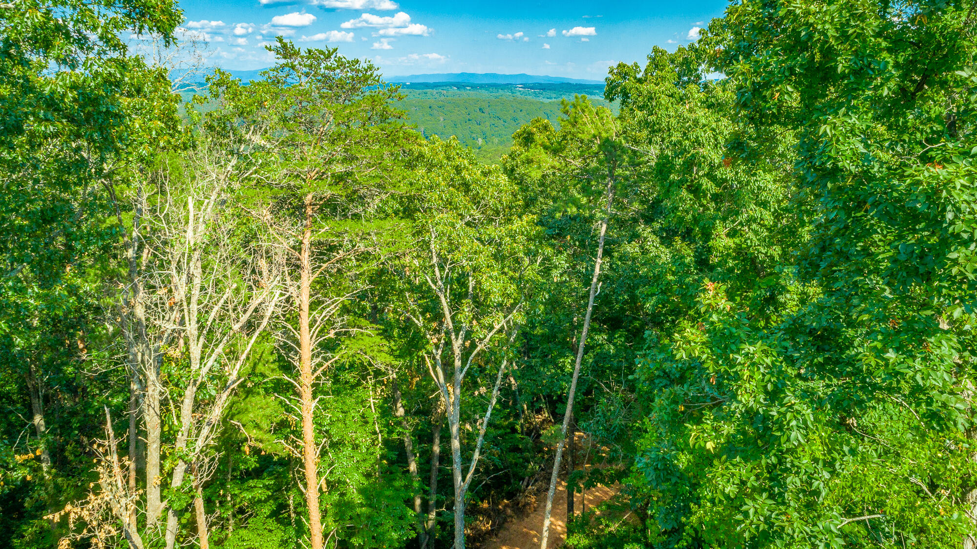 0 Clearview Drive, Lot 1