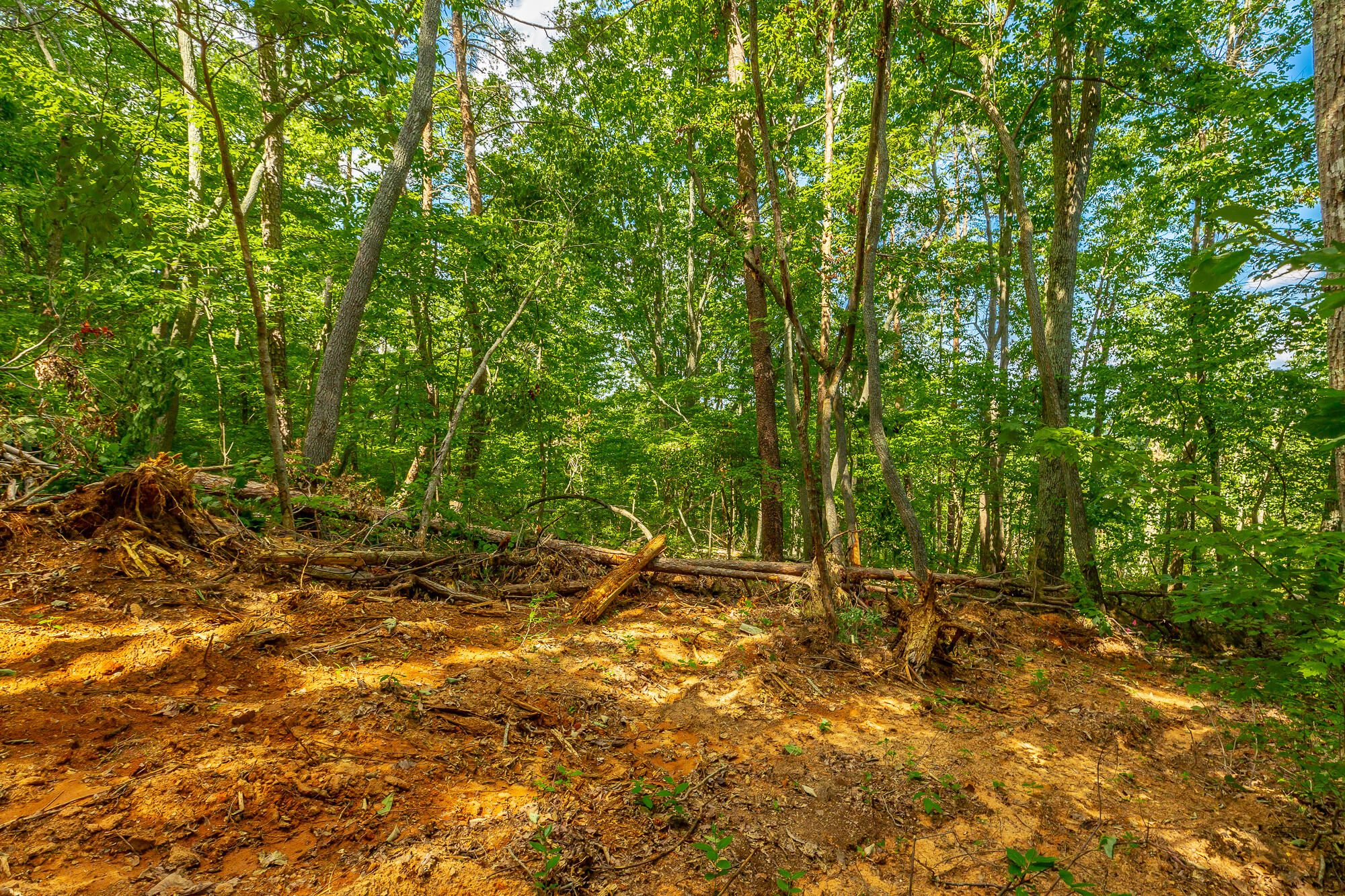 0 Clearview Drive, Lot 1