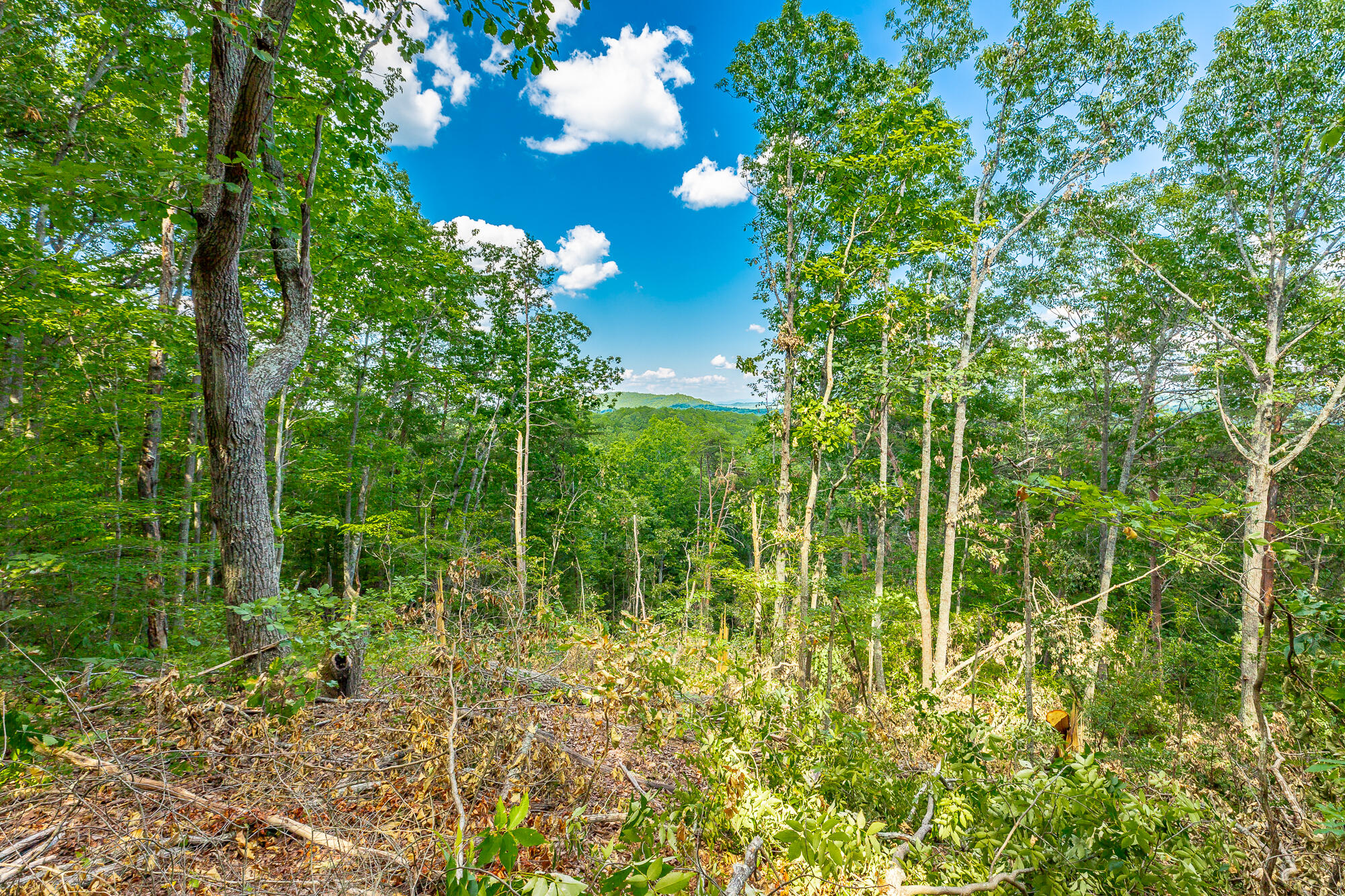0 Clearview Drive, Lot 1