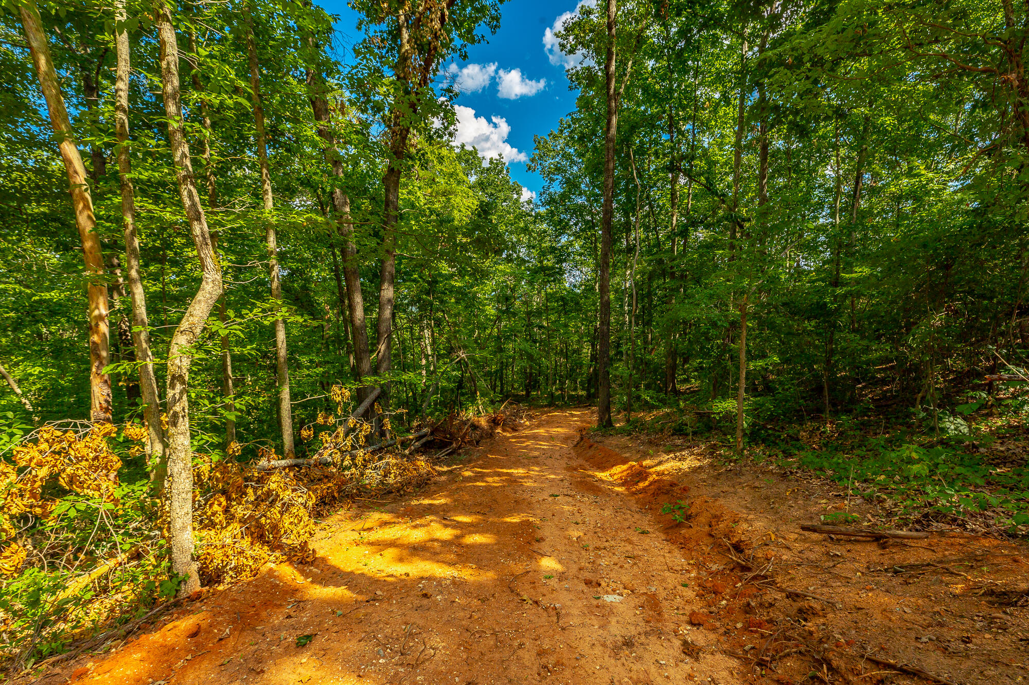 0 Clearview Drive, Lot 1