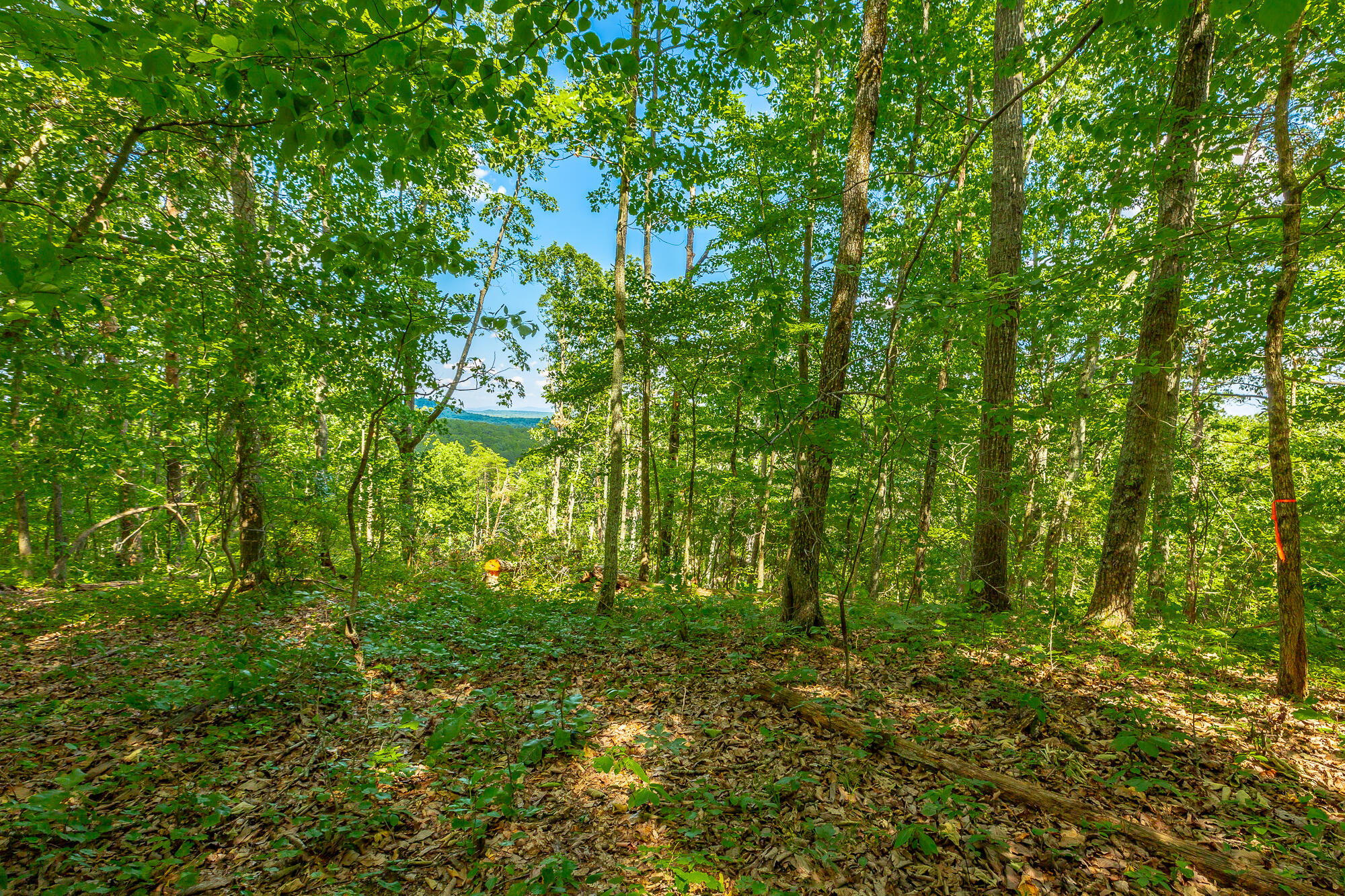 0 Clearview Drive, Lot 1