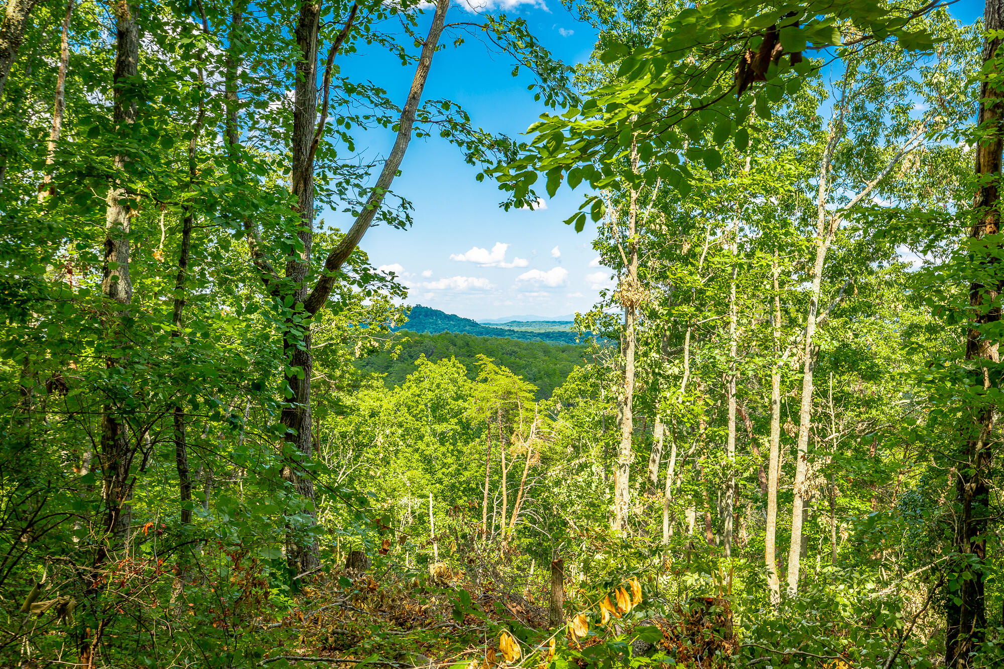 0 Clearview Drive, Lot 1