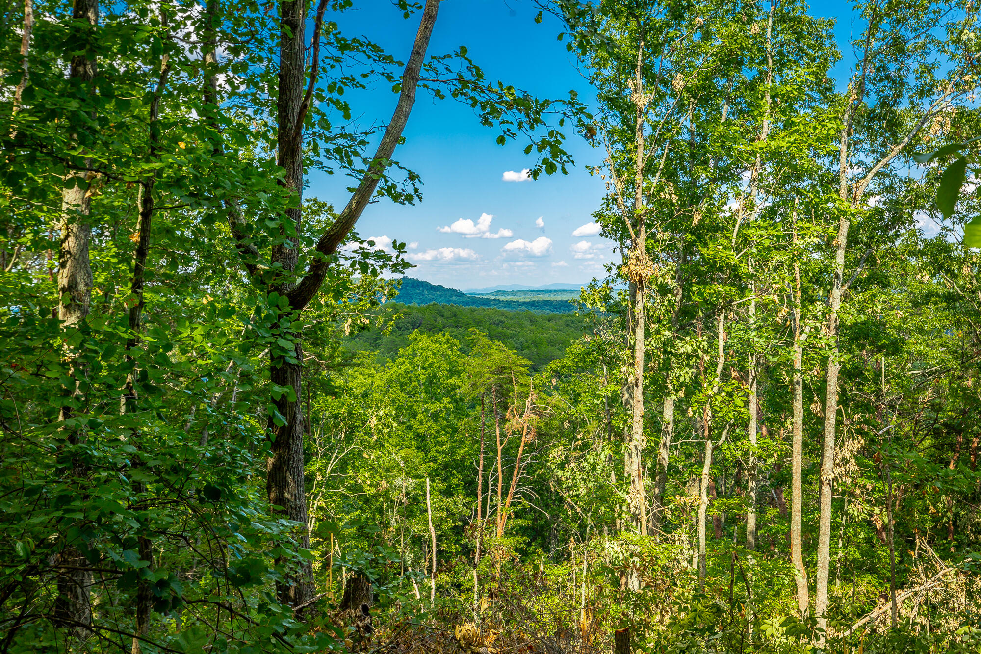 0 Clearview Drive, Lot 1