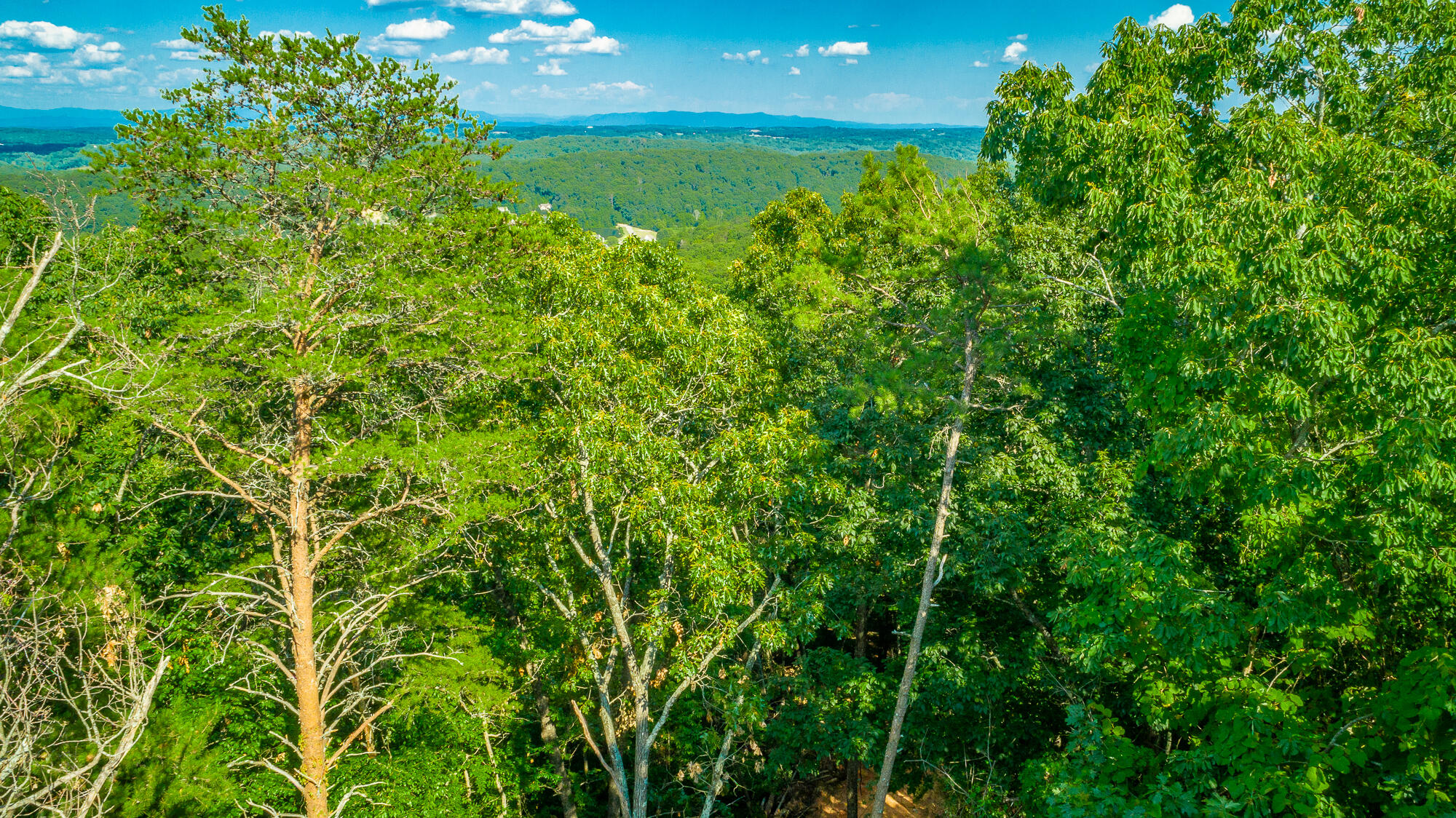 0 Clearview Drive, Lot 1